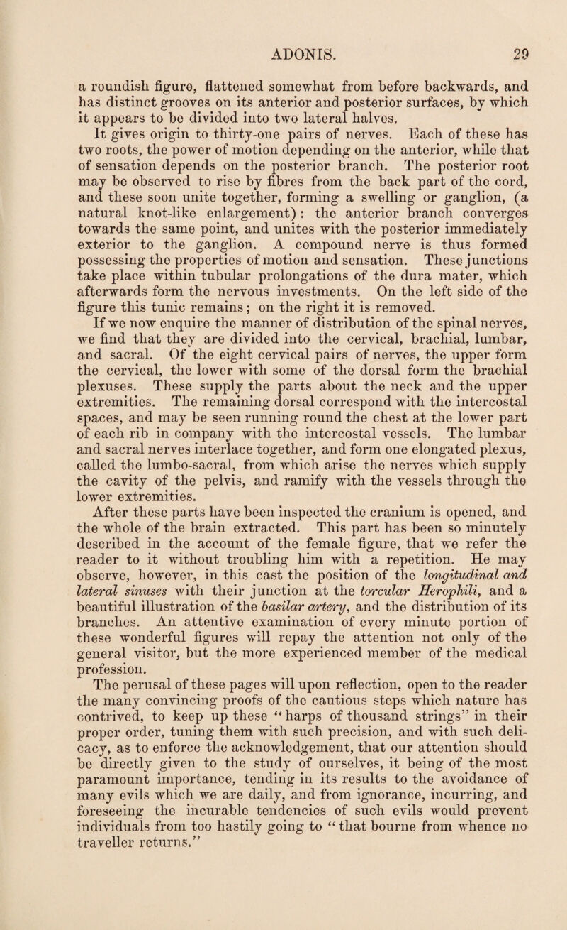 a roundish figure, flattened somewhat from before backwards, and has distinct grooves on its anterior and posterior surfaces, by which it appears to be divided into two lateral halves. It gives origin to thirty-one pairs of nerves. Each of these has two roots, the power of motion depending on the anterior, while that of sensation depends on the posterior branch. The posterior root may be observed to rise by fibres from the back part of the cord, and these soon unite together, forming a swelling or ganglion, (a natural knot-like enlargement) : the anterior branch converges towards the same point, and unites with the posterior immediately exterior to the ganglion. A compound nerve is thus formed possessing the properties of motion and sensation. These junctions take place within tubular prolongations of the dura mater, which afterwards form the nervous investments. On the left side of the figure this tunic remains; on the right it is removed. If we now enquire the manner of distribution of the spinal nerves, we find that they are divided into the cervical, brachial, lumbar, and sacral. Of the eight cervical pairs of nerves, the upper form the cervical, the lower with some of the dorsal form the brachial plexuses. These supply the parts about the neck and the upper extremities. The remaining dorsal correspond with the intercostal spaces, and may be seen running round the chest at the lower part of each rib in company with the intercostal vessels. The lumbar and sacral nerves interlace together, and form one elongated plexus, called the lumbo-sacral, from which arise the nerves which supply the cavity of the pelvis, and ramify with the vessels through the lower extremities. After these parts have been inspected the cranium is opened, and the whole of the brain extracted. This part has been so minutely described in the account of the female figure, that we refer the reader to it without troubling him with a repetition. He may observe, however, in this cast the position of the longitudinal and lateral sinuses with their junction at the torcular Herophili, and a beautiful illustration of the basilar artery, and the distribution of its branches. An attentive examination of every minute portion of these wonderful figures will repay the attention not only of the general visitor, but the more experienced member of the medical profession. The perusal of these pages will upon reflection, open to the reader the many convincing proofs of the cautious steps which nature has contrived, to keep up these “harps of thousand strings” in their proper order, tuning them with such precision, and with such deli¬ cacy, as to enforce the acknowledgement, that our attention should be directly given to the study of ourselves, it being of the most paramount importance, tending in its results to the avoidance of many evils which we are daily, and from ignorance, incurring, and foreseeing the incurable tendencies of such evils would prevent individuals from too hastily going to “ that bourne from whence no traveller returns.”