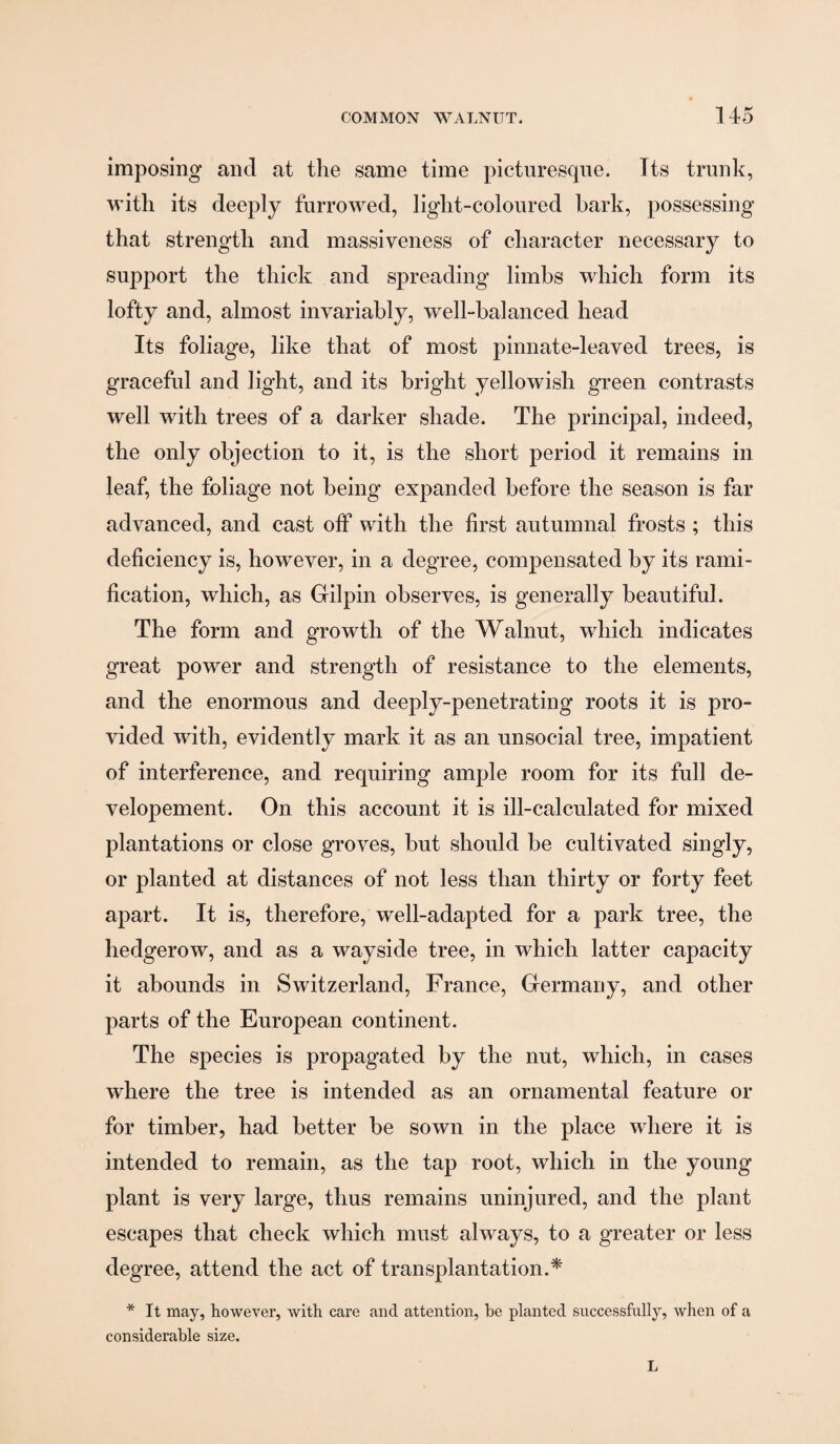 imposing and at the same time picturesque. Its trunk, with its deeply furrowed, light-coloured bark, possessing that strength and massiveness of character necessary to support the thick and spreading limbs which form its lofty and, almost invariably, well-balanced head Its foliage, like that of most pinnate-leaved trees, is graceful and light, and its bright yellowish green contrasts well with trees of a darker shade. The principal, indeed, the only objection to it, is the short period it remains in leaf, the foliage not being expanded before the season is far advanced, and cast off with the first autumnal frosts ; this deficiency is, however, in a degree, compensated by its rami¬ fication, which, as Gilpin observes, is generally beautiful. The form and growth of the Walnut, which indicates great power and strength of resistance to the elements, and the enormous and deeply-penetrating roots it is pro¬ vided with, evidently mark it as an unsocial tree, impatient of interference, and requiring ample room for its full de- velopement. On this account it is ill-calculated for mixed plantations or close groves, but should be cultivated singly, or planted at distances of not less than thirty or forty feet apart. It is, therefore, well-adapted for a park tree, the hedgerow, and as a wayside tree, in which latter capacity it abounds in Switzerland, France, Germany, and other parts of the European continent. The species is propagated by the nut, which, in cases where the tree is intended as an ornamental feature or for timber, had better be sown in the place where it is intended to remain, as the tap root, which in the young plant is very large, thus remains uninjured, and the plant escapes that check which must always, to a greater or less degree, attend the act of transplantation.* * It may, however, with care and attention, be planted successfully, when of a considerable size.