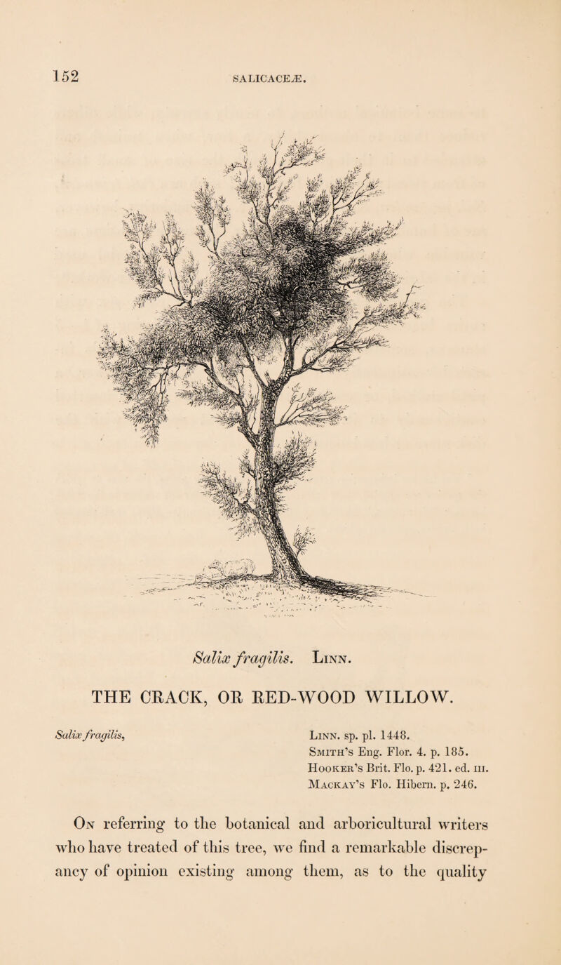^alix fragilis, Linn. THE CEAOK, OE EED-WOOD WILLOW. Salioefragilis, Linn. sp. pi. 1448. Smith’s Eng. Flor. 4. p. 185. Hooker’s Brit, Flo. p. 421. ed. iii. Mackay’s Flo. Hibem. p, 246. On referring to the botanical and arboricultnral writers who have treated of this tree, we find a remarkable discrep¬ ancy of opinion existing among them, as to the quality