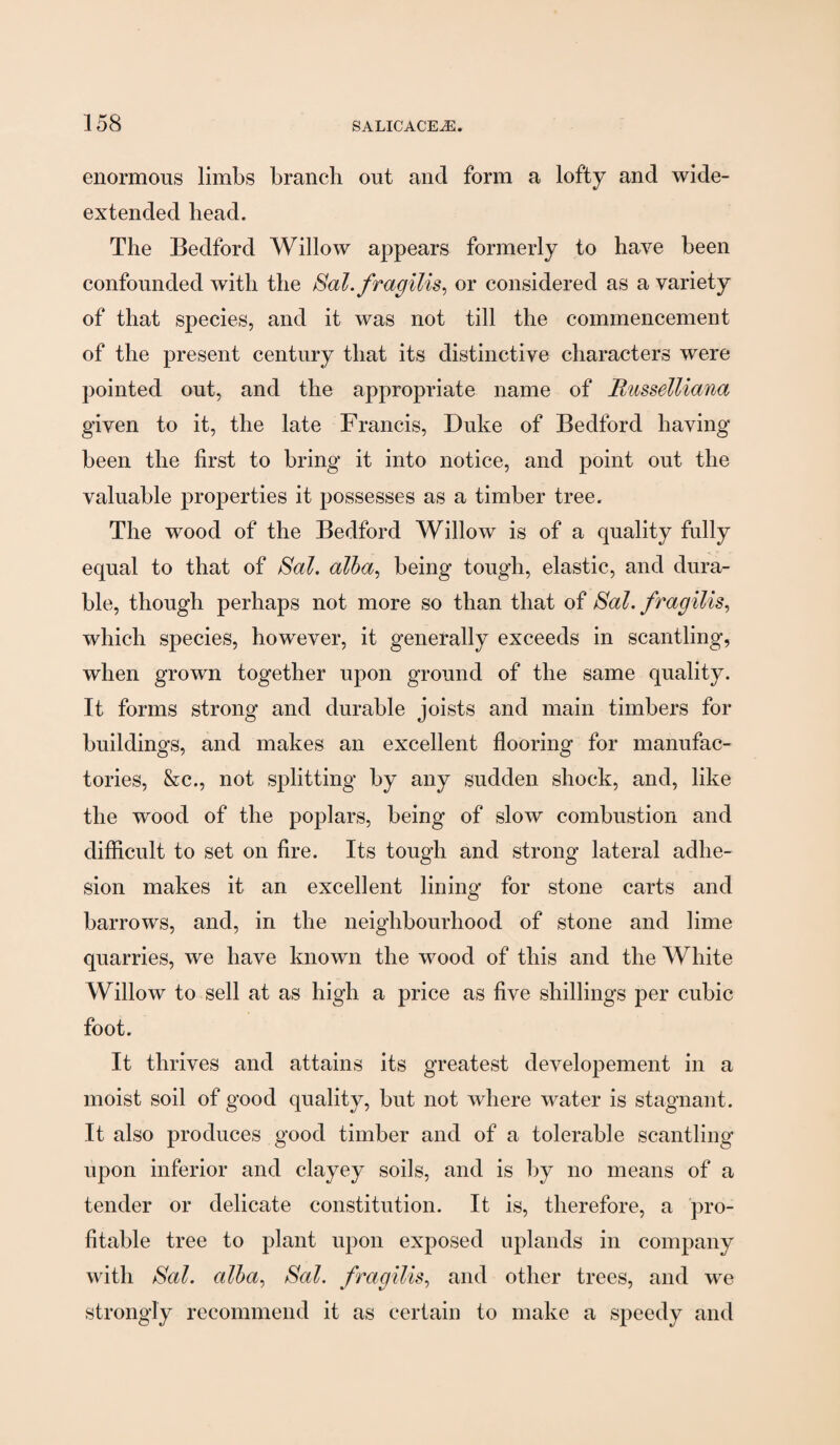 enormous limbs branch out and form a lofty and wide- extended head. The Bedford Willow appears formerly to have been confounded with the Sal.fragilis^ or considered as a variety of that species, and it was not till the commencement of the present century that its distinctive characters were pointed out, and the appropriate name of Russelliana given to it, the late Francis, Duke of Bedford having been the first to bring it into notice, and point out the valuable pro]3erties it possesses as a timber tree. The wood of the Bedford Willow is of a quality fully equal to that of Sal. alha^ being tough, elastic, and dura¬ ble, though perhaps not more so than that of Sal. fragiUs^ which species, however, it generally exceeds in scantling, when grown together upon ground of the same quality. It forms strong and durable joists and main timbers for buildings, and makes an excellent flooring for manufac¬ tories, &c., not splitting by any sudden shock, and, like the wood of the poplars, being of slow combustion and difficult to set on fire. Its tough and strong lateral adhe¬ sion makes it an excellent lining for stone carts and barrows, and, in the neighbourhood of stone and lime quarries, we have known the wood of this and the White Willow to sell at as high a price as five shillings per cubic foot. It thrives and attains its greatest developement in a moist soil of good quality, but not where water is stagnant. It also produces good timber and of a tolerable scantling upon inferior and clayey soils, and is by no means of a tender or delicate constitution. It is, therefore, a pro¬ fitable tree to plant upon exposed uplands in company with Sal. alha^ Sal. fragilis^ and other trees, and we strongly recommend it as certain to make a speedy and