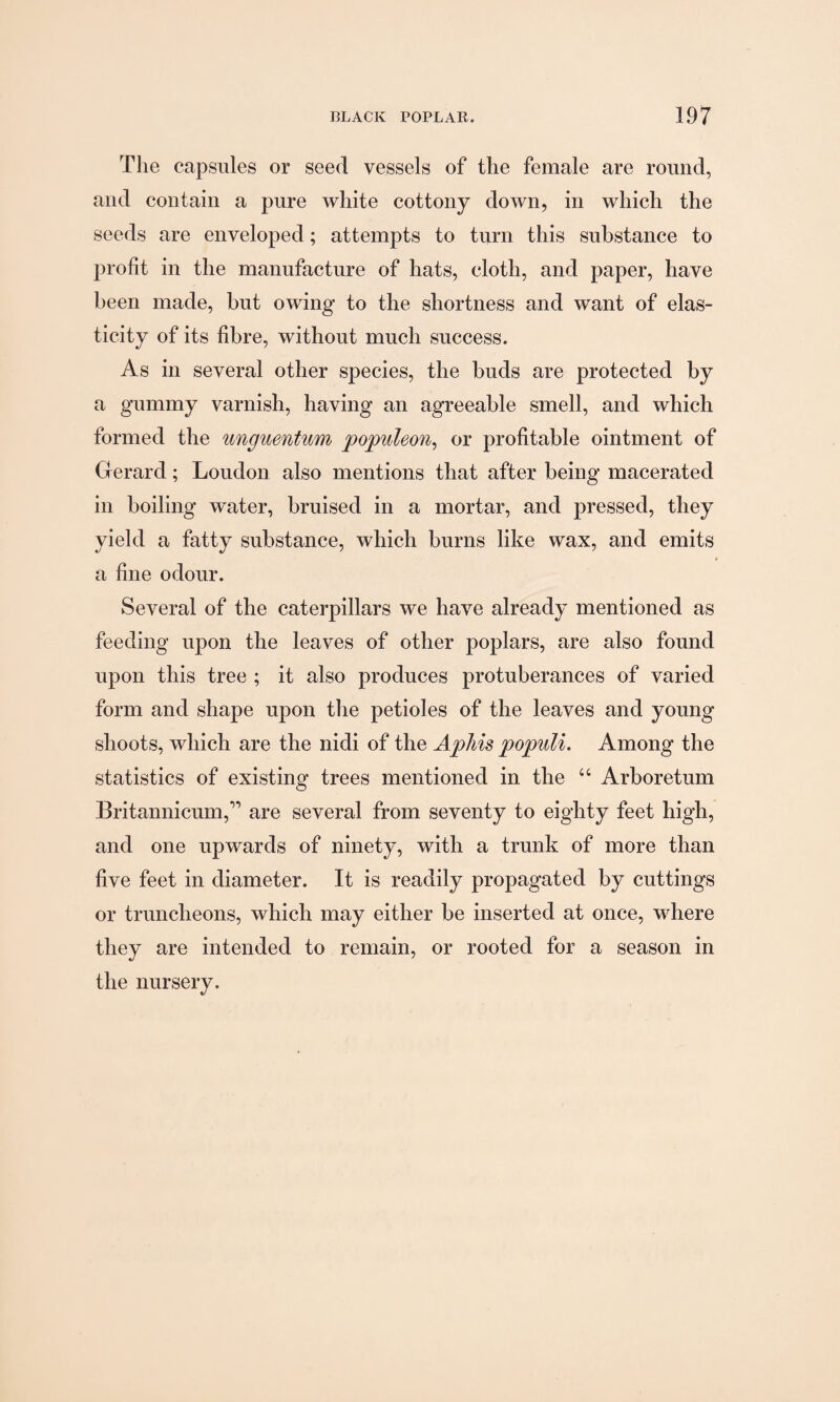 The capsules or seed vessels of the female are round, and contain a pure white cottony down, in which the seeds are enveloped; attempts to turn this substance to profit in the manufacture of hats, cloth, and paper, have been made, but owing to the shortness and want of elas¬ ticity of its fibre, without much success. As in several other species, the buds are protected by a gummy varnish, having an agreeable smell, and which formed the unguentum populeon, or profitable ointment of Gerard; Loudon also mentions that after being macerated in boiling water, bruised in a mortar, and pressed, they yield a fatty substance, which burns like wax, and emits a fine odour. Several of the caterpillars we have already mentioned as feeding upon the leaves of other poplars, are also found upon this tree ; it also produces protuberances of varied form and shape upon the petioles of the leaves and young shoots, which are the nidi of the Aphis populi. Among the statistics of existing trees mentioned in the “ Arboretum Britannicum,” are several from seventy to eighty feet high, and one upwards of ninety, with a trunk of more than five feet in diameter. It is readily propagated by cuttings or truncheons, which may either be inserted at once, where they are intended to remain, or rooted for a season in the nursery.