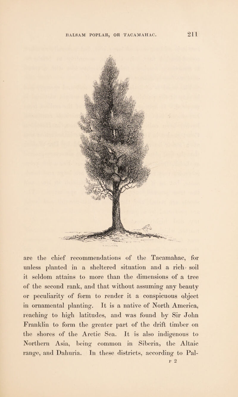 are the chief recommendations of the Tacamahac, for unless planted in a sheltered situation and a rich- soil it seldom attains to more than the dimensions of a tree of the second rank, and that without assuming any beauty or peculiarity of form to render it a conspicuous object in ornamental planting. It is a native of North America, reaching to high latitudes, and was found by Sir John Franklin to form the greater part of the drift timber on the shores of the Arctic Sea. It is also indigenous to Northern Asia, being common in Siberia, the Altaic range, and Dahuria. In these districts, according to Pal-