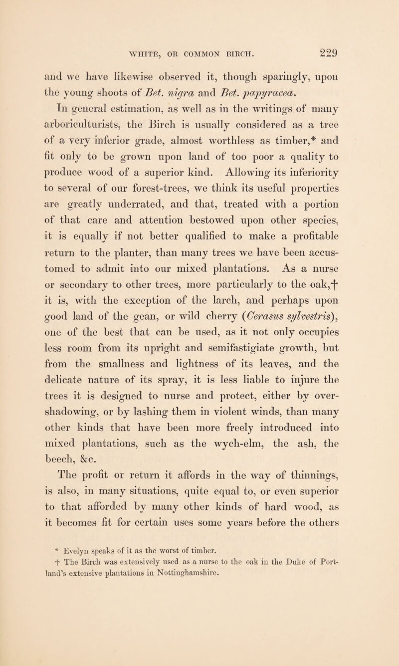 and we have likewise observed it, though sparingly, upon the young shoots of Bet. nigra and Bet. papyracea. In general estimation, as well as in the writings of many arboriculturists, the Birch is usually considered as a tree of a very inferior grade, almost worthless as timber,* and fit only to be grown upon land of too poor a quality to produce wood of a superior kind. Allowing its inferiority to several of our forest-trees, we think its useful properties are greatly underrated, and that, treated with a portion of that care and attention bestowed upon other species, it is equally if not better qualified to make a profitable return to the planter, than many trees we have been accus¬ tomed to admit into our mixed plantations. As a nurse or secondary to other trees, more particularly to the oak,-)* it is, with the exception of the larch, and perhaps upon good land of the gean, or wild cherry (Gerasus sylvestris), one of the best that can be used, as it not only occupies less room from its upright and semifastigiate growth, but from the smallness and lightness of its leaves, and the delicate nature of its spray, it is less liable to injure the trees it is designed to nurse and protect, either by over¬ shadowing, or by lashing them in violent winds, than many other kinds that have been more freely introduced into mixed plantations, such as the wych-elm, the ash, the beech, &c. The profit or return it affords in the way of thinnings, is also, in many situations, quite equal to, or even superior to that afforded by many other kinds of hard wood, as it becomes fit for certain uses some years before the others * Evelyn speaks of it as the worst of timber. E The Birch was extensively used as a nurse to the oak in the Duke of Port¬ land’s extensive plantations in Nottinghamshire.