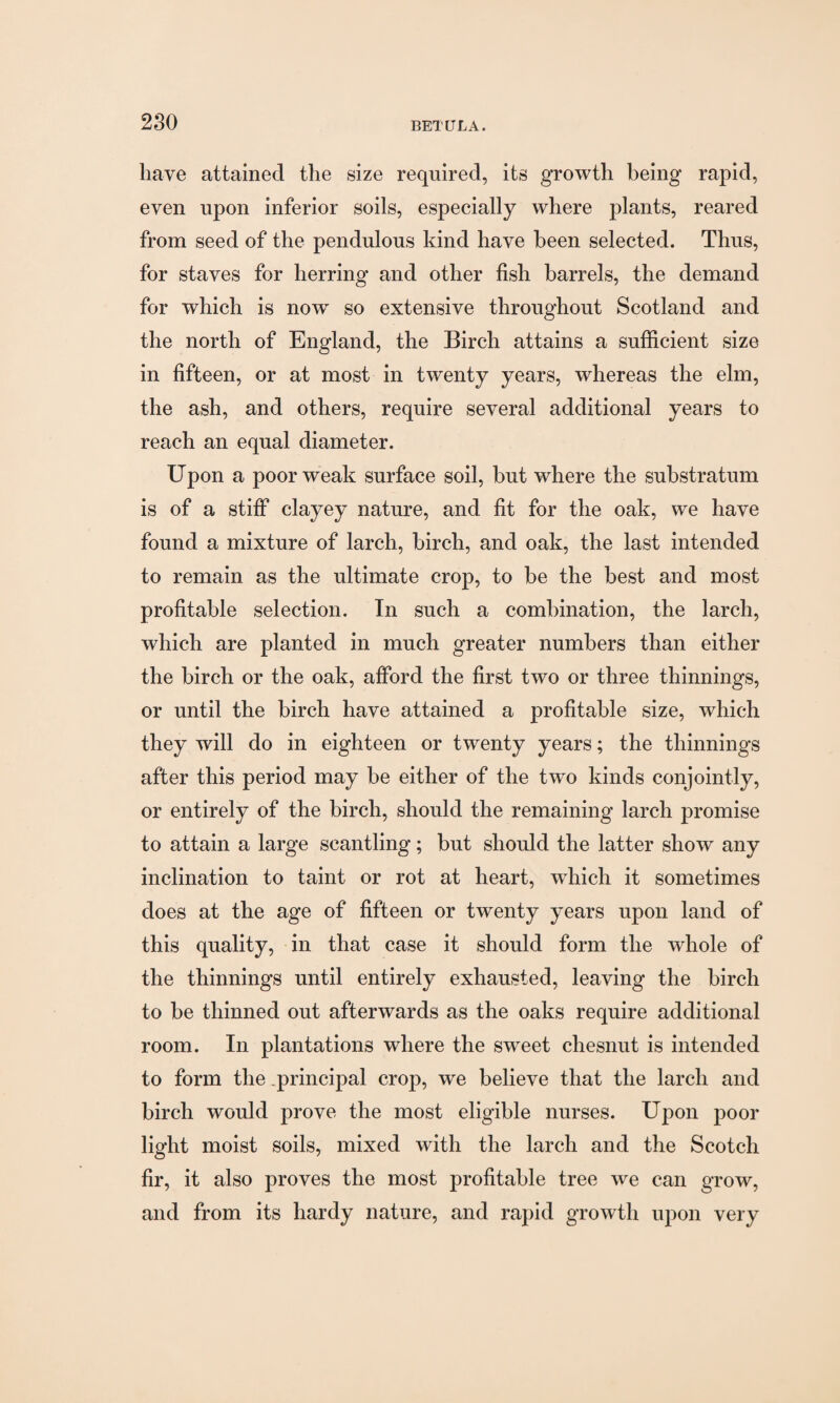 have attained the size required, its growth being rapid, even upon inferior soils, especially where plants, reared from seed of the pendulous kind have been selected. Thus, for staves for herring' and other fish barrels, the demand for which is now so extensive throughout Scotland and the north of England, the Birch attains a sufficient size in fifteen, or at most in twenty years, whereas the elm, the ash, and others, require several additional years to reach an equal diameter. Upon a poor weak surface soil, but where the substratum is of a stiff clayey nature, and fit for the oak, we have found a mixture of larch, birch, and oak, the last intended to remain as the ultimate crop, to be the best and most profitable selection. In such a combination, the larch, which are planted in much greater numbers than either the birch or the oak, afford the first two or three thinnings, or until the birch have attained a profitable size, which they will do in eighteen or twenty years; the thinnings after this period may be either of the two kinds conjointly, or entirely of the birch, should the remaining larch promise to attain a large scantling; but should the latter show any inclination to taint or rot at heart, which it sometimes does at the age of fifteen or twenty years upon land of this quality, in that case it should form the whole of the thinnings until entirely exhausted, leaving the birch to be thinned out afterwards as the oaks require additional room. In plantations where the sweet chesnut is intended to form the principal crop, we believe that the larch and birch would prove the most eligible nurses. Upon poor light moist soils, mixed with the larch and the Scotch fir, it also proves the most profitable tree we can grow, and from its hardy nature, and rapid growth upon very