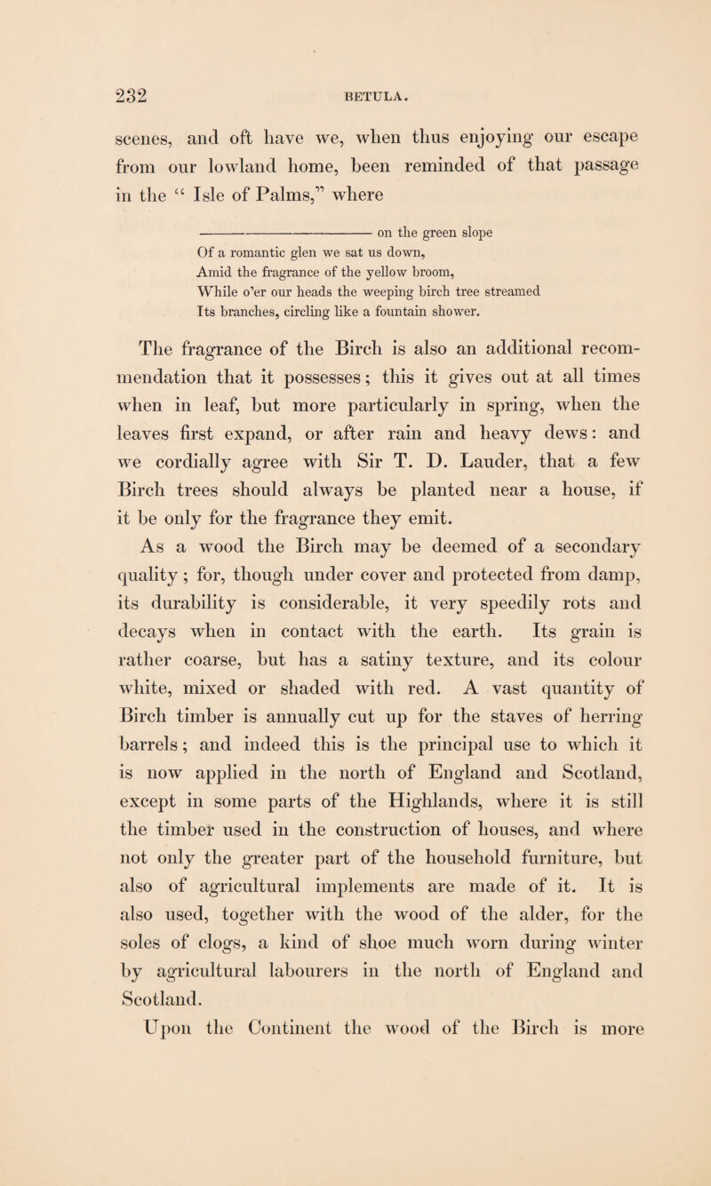 scenes, and oft have we, when thus enjoying our escape from our lowland home, been reminded of that passage in the “ Isle of Palms,” where ---on the green slope Of a romantic glen we sat us down, Amid the fragrance of the yellow broom, While o’er our heads the weeping birch tree streamed Its branches, circling like a fountain shower. The fragrance of the Birch is also an additional recom¬ mendation that it possesses; this it gives out at all times when in leaf, but more particularly in spring, when the leaves first expand, or after rain and heavy dews: and we cordially agree with Sir T. D. Lauder, that a few Birch trees should always be planted near a house, if it be only for the fragrance they emit. As a wood the Birch may be deemed of a secondary quality; for, though under cover and protected from damp, its durability is considerable, it very speedily rots and decays when in contact with the earth. Its grain is rather coarse, but has a satiny texture, and its colour white, mixed or shaded with red. A vast quantity of Birch timber is annually cut up for the staves of herring barrels; and indeed this is the principal use to which it is now applied in the north of England and Scotland, except in some parts of the Highlands, where it is still the timber used in the construction of houses, and where not only the greater part of the household furniture, but also of agricultural implements are made of it. It is also used, together with the wood of the alder, for the soles of clogs, a kind of shoe much worn during winter by agricultural labourers in the north of England and Scotland. Upon the Continent the wood of the Birch is more