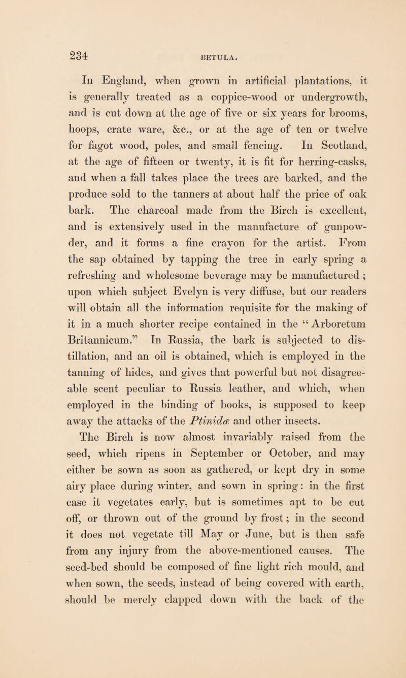 In England, when grown in artificial plantations, it is generally treated as a coppice-wood or undergrowth, and is cut down at the age of five or six years for brooms, hoops, crate ware, &c., or at the age of ten or twelve for fagot wood, poles, and small fencing. In Scotland, at the age of fifteen or twenty, it is fit for herring-casks, and when a fall takes place the trees are barked, and the produce sold to the tanners at about half the price of oak bark. The charcoal made from the Birch is excellent, and is extensively used in the manufacture of gunpow¬ der, and it forms a fine crayon for the artist. From the sap obtained by tapping the tree in early spring a refreshing and wholesome beverage may be manufactured ; upon which subject Evelyn is very diffuse, but our readers will obtain all the information requisite for the making of it in a much shorter recipe contained in the “ Arboretum Britannicum.” In Russia, the bark is subjected to dis¬ tillation, and an oil is obtained, which is employed in the tanning of hides, and gives that powerful but not disagree¬ able scent peculiar to Russia leather, and which, when employed in the binding of books, is supposed to keep away the attacks of the Ptinidce and other insects. The Birch is now almost invariably raised from the seed, which ripens in September or October, and may either be sown as soon as gathered, or kept dry in some airy place during winter, and sown in spring: in the first case it vegetates early, but is sometimes apt to be cut off, or thrown out of the ground by frost; in the second it does not vegetate till May or June, but is then safe from any injury from the above-mentioned causes. The seed-bed should be composed of fine light rich mould, and when sown, the seeds, instead of being covered with earth, should be merely clapped down with the back of the