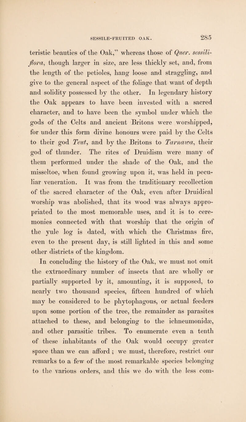 teristic beauties of the Oak,” whereas those of Quer. sessili- flora, though larger in size, are less thickly set, and, from the length of the petioles, hang loose and straggling, and give to the general aspect of the foliage that want of depth and solidity possessed by the other. In legendary history the Oak appears to have been invested with a sacred character, and to have been the symbol under which the gods of the Celts and ancient Britons were worshipped, for under this form divine honours were paid by the Celts to their god Teut, and by the Britons to Tarnawa, their god of thunder. The rites of Druidism were many of them performed under the shade of the Oak, and the misseltoe, when found growing upon it, was held in pecu¬ liar veneration. It was from the traditionary recollection of the sacred character of the Oak, even after Druidical worship was abolished, that its wood was always appro¬ priated to the most memorable uses, and it is to cere¬ monies connected with that worship that the origin of the yule log is dated, with which the Christmas fire, even to the present day, is still lighted in this and some other districts of the kingdom. In concluding the history of the Oak, we must not omit the extraordinary number of insects that are wholly or partially supported by it, amounting, it is supposed, to nearly two thousand species, fifteen hundred of which may be considered to be phytophagous, or actual feeders upon some portion of the tree, the remainder as parasites attached to these, and belonging to the ichneumonidse, and other parasitic tribes. To enumerate even a tenth of these inhabitants of the Oak would occupy greater space than we can afford ; we must, therefore, restrict our remarks to a few of the most remarkable species belonging to the various orders, and this we do with the less com-