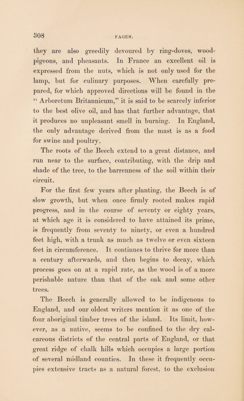 they are also greedily devoured by ring-doves, wood- pigeons, and pheasants. In France an excellent oil is expressed from the nuts, which is not only used for the lamp, but for culinary purposes. When carefully pre¬ pared, for which approved directions will be found in the cc Arboretum Britannicum,” it is said to be scarcely inferior to the best olive oil, and has that further advantage, that it produces no unpleasant smell in burning. In England, the only advantage derived from the mast is as a food for swine and poultry. The roots of the Beech extend to a great distance, and run near to the surface, contributing, with the drip and shade of the tree, to the barrenness of the soil within their circuit. For the first few years after planting, the Beech is of slow growth, but when once firmly rooted makes rapid progress, and in the course of seventy or eighty years, at which age it is considered to have attained its prime, is frequently from seventy to ninety, or even a hundred feet high, with a trunk as much as twelve or even sixteen feet in circumference. It continues to thrive for more than a century afterwards, and then begins to decay, which process goes on at a rapid rate, as the wood is of a more perishable nature than that of the oak and some other trees. The Beech is generally allowed to be indigenous to England, and our oldest writers mention it as one of the four aboriginal timber trees of the island. Its limit, how¬ ever, as a native, seems to be confined to the dry cal¬ careous districts of the central parts of England, or that great ridge of chalk hills which occupies a large portion of several midland counties. In these it frequently occu¬ pies extensive tracts as a natural forest, to the exclusion