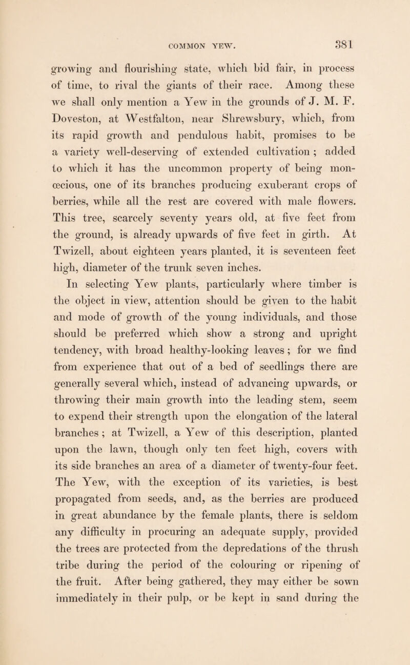 growing and flourishing state, which hid fair, in process of time, to rival the giants of their race. Among these we shall only mention a Yew in the grounds of J. M. F. Doveston, at Westfalton, near Shrewsbury, which, from its rapid growth and pendulous habit, promises to be a variety well-deserving of extended cultivation ; added to which it has the uncommon property of being mon¬ oecious, one of its branches producing exuberant crops of berries, while all the rest are covered with male flowers. This tree, scarcely seventy years old, at five feet from the ground, is already upwards of five feet in girth. At Twizell, about eighteen years planted, it is seventeen feet high, diameter of the trunk seven inches. In selecting Yew plants, particularly where timber is the object in view, attention should be given to the habit and mode of growth of the young individuals, and those should be preferred which show a strong and upright tendency, with broad healthy-looking leaves; for we find from experience that out of a bed of seedlings there are generally several which, instead of advancing upwards, or throwing their main growth into the leading stem, seem to expend their strength upon the elongation of the lateral branches; at Twizell, a Yew of this description, planted upon the lawn, though only ten feet high, covers with its side branches an area of a diameter of twenty-four feet. The Yew, with the exception of its varieties, is best propagated from seeds, and, as the berries are produced in great abundance by the female plants, there is seldom any difficulty in procuring an adequate supply, provided the trees are protected from the depredations of the thrush tribe during the period of the colouring or ripening of the fruit. After being gathered, they may either be sown immediately in their pulp, or be kept in sand during the