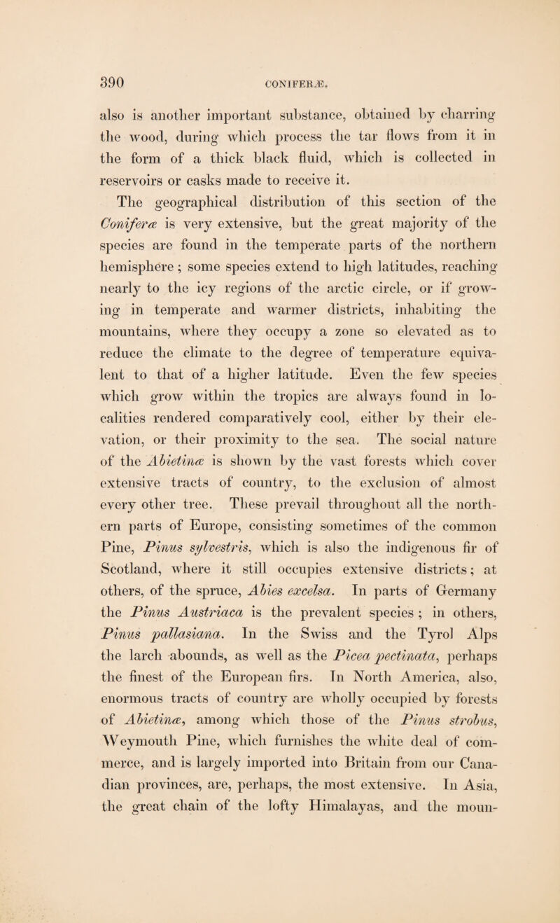 also is another important substance, obtained by charring the wood, during which process the tar flows from it in the form of a thick black fluid, which is collected in reservoirs or casks made to receive it. The geographical distribution of this section of the Conifers is very extensive, but the great majority of the species are found in the temperate parts of the northern hemisphere; some species extend to high latitudes, reaching nearly to the icy regions of the arctic circle, or if grow¬ ing in temperate and warmer districts, inhabiting the mountains, where they occupy a zone so elevated as to reduce the climate to the degree of temperature equiva¬ lent to that of a higher latitude. Even the few species which grow within the tropics are always found in lo¬ calities rendered comparatively cool, either by their ele¬ vation, or their proximity to the sea. The social nature of the Abietina is shown by the vast forests which cover extensive tracts of country, to the exclusion of almost every other tree. These prevail throughout all the north¬ ern parts of Europe, consisting sometimes of the common Pine, Pinus sylvestris, which is also the indigenous fir of Scotland, where it still occupies extensive districts; at others, of the spruce, Abies excelsa. In parts of Germany the Pinus Austriaca is the prevalent species ; in others, Pinus pallasiana. In the Swiss and the Tyro] Alps the larch abounds, as well as the Picea pectinata, perhaps the finest of the European firs. In North America, also, enormous tracts of country are wholly occupied by forests of Abietinte, among which those of the Pinus strobus, Weymouth Pine, which furnishes the white deal of com¬ merce, and is largely imported into Britain from our Cana¬ dian provinces, are, perhaps, the most extensive. In Asia, the great chain of the lofty Himalayas, and the moun-