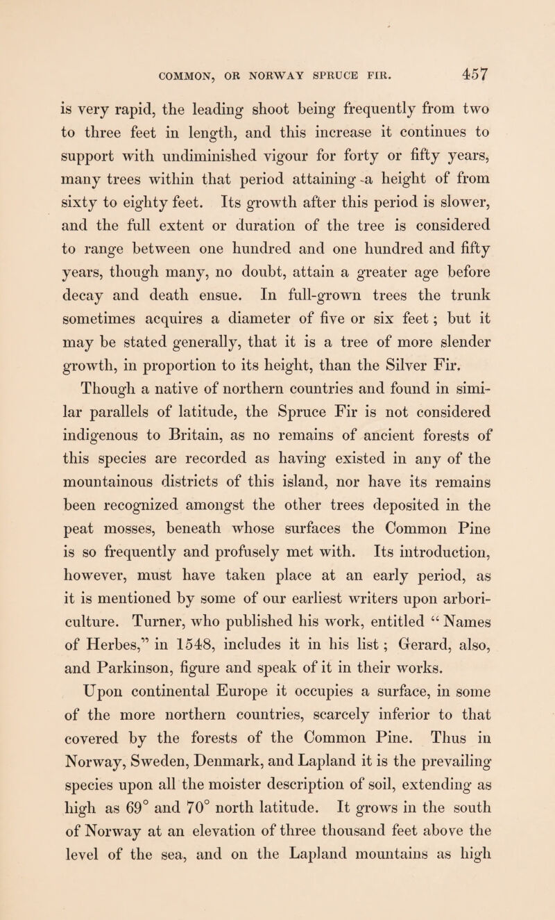 is very rapid, the leading shoot being frequently from two to three feet in length, and this increase it continues to support with undiminished vigour for forty or fifty years, many trees within that period attaining -a height of from sixty to eighty feet. Its growth after this period is slower, and the full extent or duration of the tree is considered to range between one hundred and one hundred and fifty years, though many, no doubt, attain a greater age before decay and death ensue. In full-grown trees the trunk sometimes acquires a diameter of five or six feet; but it may he stated generally, that it is a tree of more slender growth, in proportion to its height, than the Silver Fir. Though a native of northern countries and found in simi¬ lar parallels of latitude, the Spruce Fir is not considered indigenous to Britain, as no remains of ancient forests of this species are recorded as having existed in any of the mountainous districts of this island, nor have its remains been recognized amongst the other trees deposited in the peat mosses, beneath whose surfaces the Common Pine is so frequently and profusely met with. Its introduction, however, must have taken place at an early period, as it is mentioned by some of our earliest writers upon arbori¬ culture. Turner, who published his work, entitled “ Names of Herbes,” in 1548, includes it in his list; Gerard, also, and Parkinson, figure and speak of it in their works. Upon continental Europe it occupies a surface, in some of the more northern countries, scarcely inferior to that covered by the forests of the Common Pine. Thus in Norway, Sweden, Denmark, and Lapland it is the prevailing species upon all the moister description of soil, extending as high as 69° and 70° north latitude. It grows in the south of Norway at an elevation of three thousand feet above the level of the sea, and on the Lapland mountains as high