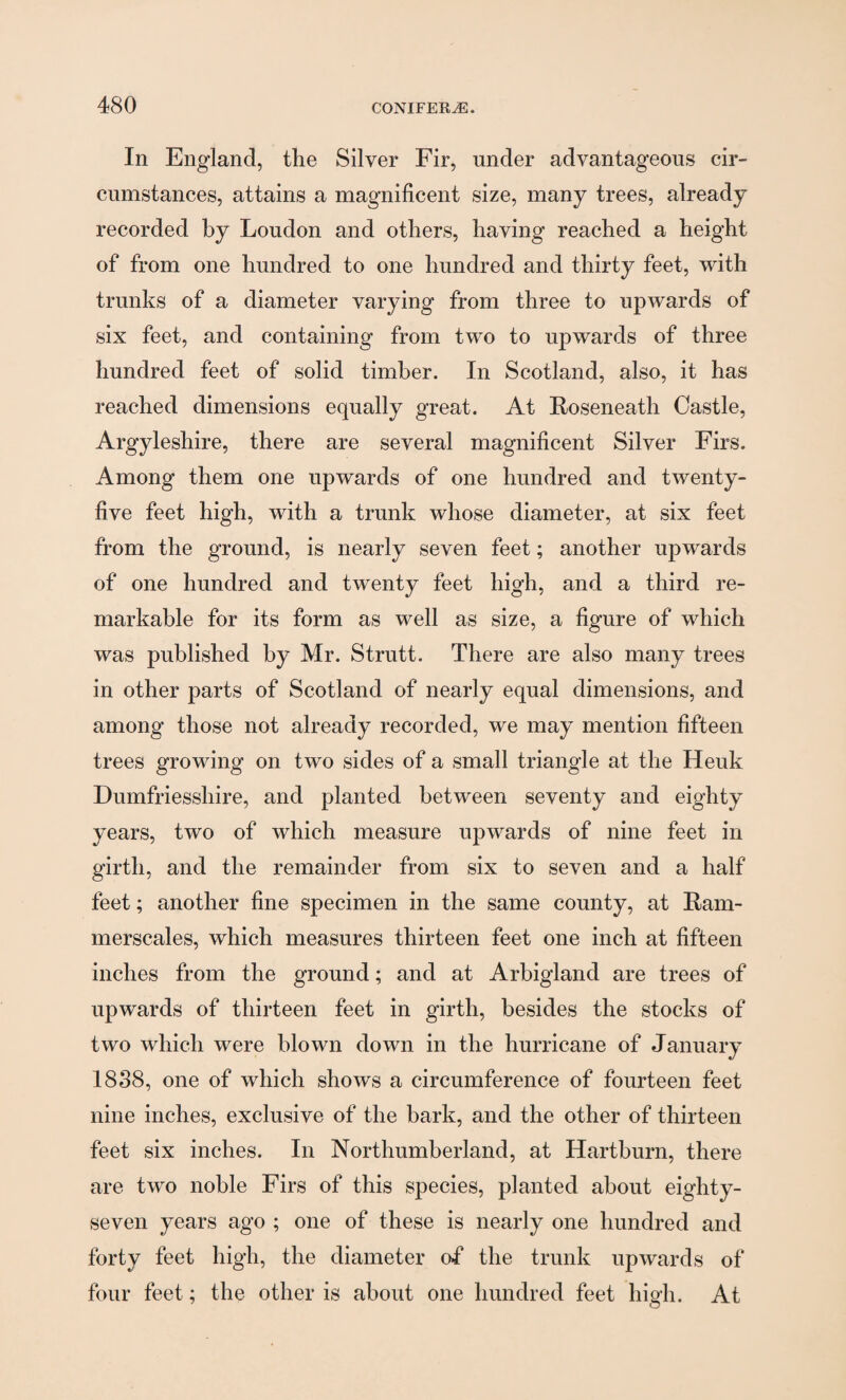 In England, the Silver Fir, under advantageous cir¬ cumstances, attains a magnificent size, many trees, already recorded by Loudon and others, having reached a height of from one hundred to one hundred and thirty feet, with trunks of a diameter varying from three to upwards of six feet, and containing from two to upwards of three hundred feet of solid timber. In Scotland, also, it has reached dimensions equally great. At Roseneath Castle, Argyleshire, there are several magnificent Silver Firs. Among them one upwards of one hundred and twenty- five feet high, with a trunk whose diameter, at six feet from the ground, is nearly seven feet; another upwards of one hundred and twenty feet high, and a third re¬ markable for its form as well as size, a figure of which was published by Mr. Strutt. There are also many trees in other parts of Scotland of nearly equal dimensions, and among those not already recorded, we may mention fifteen trees growing on two sides of a small triangle at the Heuk Dumfriesshire, and planted between seventy and eighty years, two of which measure upwards of nine feet in girth, and the remainder from six to seven and a half feet; another fine specimen in the same county, at Ram- merscales, which measures thirteen feet one inch at fifteen inches from the ground; and at Arbigland are trees of upwards of thirteen feet in girth, besides the stocks of two which were blown down in the hurricane of January 1838, one of which shows a circumference of fourteen feet nine inches, exclusive of the bark, and the other of thirteen feet six inches. In Northumberland, at Hartburn, there are two noble Firs of this species, planted about eighty- seven years ago ; one of these is nearly one hundred and forty feet high, the diameter of the trunk upwards of four feet; the other is about one hundred feet high. At