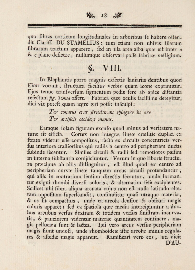 dit ClarifT. DU STAMELIUS : tum etiam non ubivis illarum fibrarum tradum apparere , fed in illa area alba quse eft inter a & c plane deficere , nullumque obfervari poffe fabricae veftigium. §. VIII. In Elephantis porro magnis exfertis laniariis dentibus quod Ebur vocant, ftrudura facilius verbis quam icone exprimitur. Ejus tenue tranfverfum figmentum pedis fere ab apice diftantia refedum fig, ioma offert. Fabrica quae oculis facillime detegitur, dici vix poteft quam aegre xri poffit infculpi: Ter conatus erat firu&uram effingere in are Ter artificis cecidere manus. Eamque folam figuram excufo quod minus ad veritatem na¬ turae fit effida. Cortex non integrae lineae craftitie duplici ex ftrato videtur effe compofitus, fado ex circulis concentricis ver¬ ius interiora craflioribus qui radiis a centro ad peripheriam dudis fubinde fecantur. Similes circuli & radii fed remotiores paffim in interna fiibftantia confpiciuntur. Verum in quo Eboris ftrudu¬ ra praecipue ab aliis diftinguitur , eft illud quod ex centro ad peripheriam curvae lineae tanquam arcus circuli protendantur , qui aliis in contrarium fenfum diredis fecantur, unde forman¬ tur exigui rhombi diverfi coloris, & alternatim fefe excipientes. Scilicet ubi fibra aliqua arcuata cujus non eft nulla latitudo alte¬ ram oppofitam fuperfcandit, confunditur quafi utraque materia 3 & os fit compadius , unde ea areola denfior & obfcuri magis coloris apparet 5 fed ea fpatiola quae media intercipiuntur a duo¬ bus arcubus verfus dextram & totidem verfus finiftram incurva¬ tis, & pauciorem videntur materiae quantitatem continere, ma¬ gis pellucida funt & ladea. Ipfi vero arcus verfus peripheriam magis fiunt undofi, unde rhomboideae ifhe areoEe minus regula¬ res & albida magis apparent. Ramificari vero eos , uti dicit D’AU~