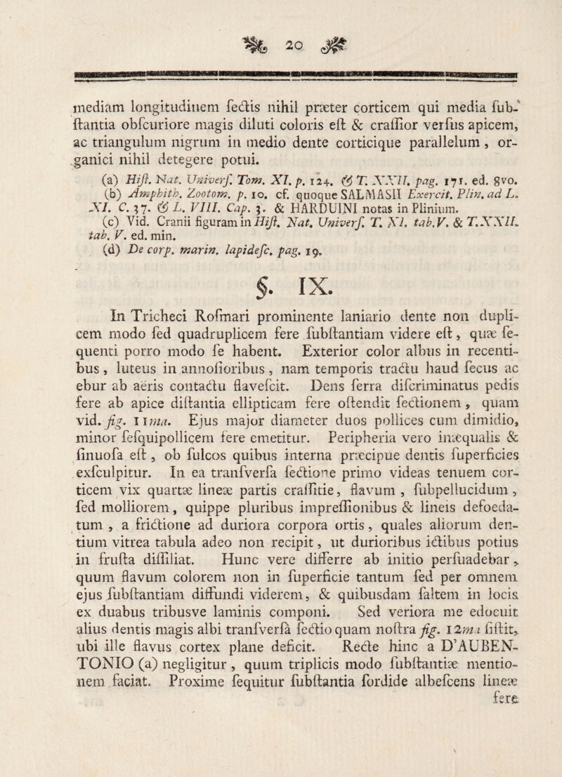inediam longitudinem fedis nihil pneter corticem qui media fub- ftantia obfcuriore magis diluti coloris eft & craflior verfus apicem, ac triangulum nigrum in medio dente corticique parajlelum , or¬ ganici nihil detegere potui. (a) HiJ}. Nat. Umverf. Tom. XI. p. 124. (6 T. XXII. pag. 171. ed. gvo. (b) Ampbith. Zo-otom. p. 10. cf. quoque SALMASII Exercit. Vlin.adL. XI. C. ;7. ($ L. VIII. Cap. 3. & HARDUINI notas in Plinium. (c) Yid. Cranii figuram in J/i/?. Umverf. T. XI. tab.V. & T.XXIL tab. V. ed. min. (d) De corp. marin. lapidefc. pag, 19. $. IX. In Trichecl Rofmari prominente laniario dente non dupli¬ cem modo fed quadruplicem fere fubftantiam videre eft, qu?e fe- quenti porro modo fe habent. Exterior color albus in recenti¬ bus , luteus in annofioribus, nam temporis tradu haud fecus ac ebur ab aeris contadu flavefcit. Dens ferra difcriminatus pedis fere ab apice diftantia ellipticam fere oftendit fedionem, quam vid.fig. lima. Ejus major diameter duos pollices eum dimidio, minor fefquipollicem fere emetitur. Peripheria vero inaequalis & finuofa eft 3 ob fulcos quibus interna praecipue dentis fuperficies exfculpitur. In ea tranfverfa fedione primo videas tenuem cor¬ ticem vix quartae lineae partis craftkie, flavum , fubpellucidum , fed molliorem, quippe pluribus impreftionibus & lineis defoeda- tum 3 a fridione ad duriora corpora ortis, quales aliorum den¬ tium vitrea tabula adeo non recipit, ut durioribus idibus potius in frufta diftiiiat. Hunc vere differre ab initio perfuadebar * quum flavum colorem non in fuperficie tantum fed per omnem ejus fubftantiam diffundi viderem, & quibusdam faltem in locis ex duabus tribusve laminis componi. Sed veriora me edocuit alius dentis magis albi tranfverfa fedioquam noftra fig. i2mi liftit> ubi ille flavus cortex plane deficit. Rede hinc a DAUBEN- TONIO (a) negligitur , quum triplicis modo fubftantbe mentio¬ nem faciat. Proxime fequitur fubftantia fordide albefcens linere \