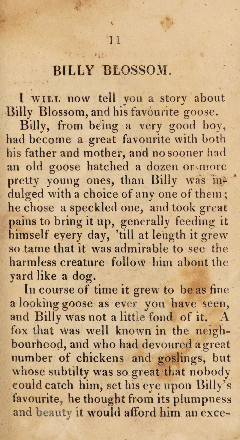 BILLY BLOSSOM. , 1 AVILL now tell you a story about Billy Blossom, and his favourite goose. Billy, from being a very good boy, had become a great favourite with both his father and mother, and no sooner had an old goose hatched a dozen or anore pretty young ones, than Billy was iny dulged with a choice of anv one of them; he chose a speckled one, and took great pains to bring it up, generally feeding it himself every day, ’till at length it grew so tame that it was admirable to see the harmless creature follow him about the yard like a dog. In course of time it grew to be as fine a looking goose as ever you have seen, and Billy was not a little fond of it, A fox that \Vas well known in the neigh¬ bourhood, and who had devoured a great number of chickens and goslings, but whose subtilty was so great that nobody could catch him, set his eye upon Billy’s favourite, he thought from its plumpness and beauty it would afford him an exce-