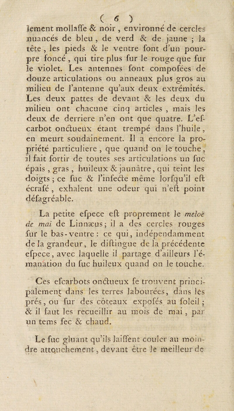 ( .« ) . lement mol! a (Te & noir , environné de cercles nuancés de bien , de verd & de jaune ; la tête , les pieds & le ventre font d’un pour¬ pre foncé , qui tire plus fur le rouge que fur le violet. Les antennes font compofées de douze articulations ou anneaux plus gros au milieu de fantenne qu’aux deux extrémités. Les deux pattes de devant & les deux du milieu ont chacune cina articles , mais les deux de derrière n’en ont que quatre. L’eb carbot onélueux étant trempé dans l’huile , en meurt soudainement. 11 a encore la pro¬ priété particulière , que quand on le touche, il fait fortir de toutes ses articulations un fuc épais , gras , huileux & jaunâtre, qui teint les doigts ; ce fuc & finfeéle même lorfqu’il eft écrafé , exhalent une odeur qui n’eft point défagréabîe. La petite efpece eft proprement le meloë de mai de Linnæus; il a des cercles rouges fur le bas-ventre: ce qui, indépendamment de la grandeur, le diftingue de la précédente efpece, avec laquelle il partage d’ailleurs l’é¬ manation du fuc huileux quand on le touche. Ces efearbots onélueux fe trouvent princi¬ palement dans les terres labourées, dans les prés, ou fur des coteaux expofés au foleil ; & il faut les recueillir au mois de mai, par un tems fec & chaud. Le fuc gluant qu’ils 1 aillent couler au moin¬ dre attouchement, devant être le meilleur de