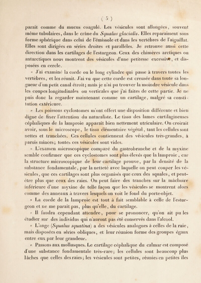 paraît comme du mucus coagulé. Les vésicules sont allongées, souvent même tubulaires, dans le crâne du Squalus glacialis. Elles reparaissent sous forme sphérique dans celui de lemissole et dans les vertèbres de l’aiguillat. Elles sont dirigées en séries droites et parallèles. Je retrouve aussi cette direction dans les cartilages de l’esturgeon. Ceux des chimères arctiques ou antarctiques nous montrent des vésicules d’une petitesse excessive, et dis¬ posées en cercle. » J’ai examiné la corde ou le long cylindre qui passe à travers toutes les vertèbres, et les réunit. J’ai vu que cette corde est creusée dans toute sa lon¬ gueur d’un petit canal étroit; mais je n’ai pu trouver la moindre vésicule dans les coupes longitudinales ou verticales que j’ai faites de cette partie. Je ne puis donc la regarder maintenant comme un cartilage, malgré sa consti¬ tution extérieure. » Les poissons cyclostomes m’ont offert une disposition différente et bien digne de fixer l’attention du naturaliste. Le tissu des lames cartilagineuses céphaliques de la lamproie apparaît bien nettement utriculaire. On croirait avoir, sous le microscope, le tissu élémentaire végétal, tant les cellules sont nettes et tranchées. Ces cellules contiennent des vésicules très-grandes, à parois minces; toutes ces vésicules sont vides. » L’examen microscopique comparé du gastrobranche et de la myxine semble confirmer que ces cyclostomes sont plus élevés que la lamproie , car la structure microscopique de leur cartilage prouve, parla densité de la substance fondamentale, par la netteté avec laquelle on peut couper les vé¬ sicules, que ces cartilages sont plus organisés que ceux des squales, et peut- être plus que ceux des raies. On peut faire des tranches sur la mâchoire inférieure d’une myxine de telle façon que les vésicules se montrent alors comme des anneaux à travers lesquels on voit le fond du porte-objet. » La corde de la lamproie est tout à fait semblable à celle de 1 estur¬ geon et ne me paraît pas, plus qu’elle, du cartilage. » Il faudra cependant attendre, pour se prononcer, qu’on ait pu les étudier sur des individus qui n’auront pas été conservés dans l’alcool. » L’ange (.Squalus squatina) a des vésicules analogues à celles de la raie, mais disposées en séries obliques, et leur réunion forme des groupes égaux entre eux par leur grandeur. » Passons aux mollusques. Le cartilage céphalique du calmar est composé dune substance fondamentale très-rare; les cellules sont beaucoup plus lâches que celles des raies; les vésicules sont petites, réunies en petites îles
