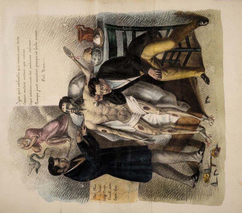 No text description is available for this image