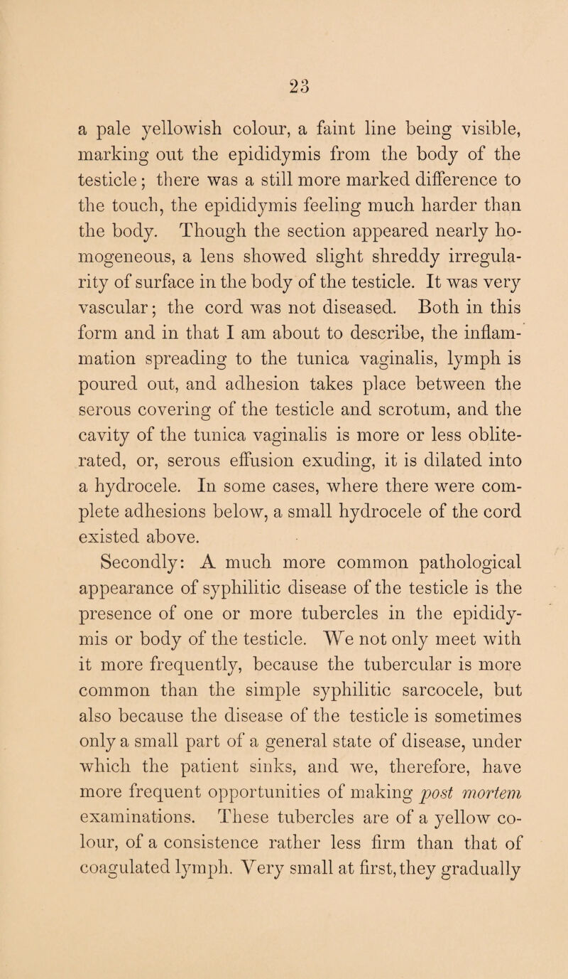 a pale yellowish colour, a faint line being visible, marking out the epididymis from the body of the testicle; there was a still more marked difference to the touch, the epididymis feeling much harder than the body. Though the section appeared nearly ho¬ mogeneous, a lens showed slight shreddy irregula¬ rity of surface in the body of the testicle. It was very vascular; the cord was not diseased. Both in this form and in that I am about to describe, the inflam¬ mation spreading to the tunica vaginalis, lymph is poured out, and adhesion takes place between the serous covering of the testicle and scrotum, and the cavity of the tunica vaginalis is more or less oblite¬ rated, or, serous effusion exuding, it is dilated into a hydrocele. In some cases, where there were com¬ plete adhesions below, a small hydrocele of the cord existed above. Secondly: A much more common pathological appearance of syphilitic disease of the testicle is the presence of one or more tubercles in the epididy¬ mis or body of the testicle. We not only meet with it more frequently, because the tubercular is more common than the simple syphilitic sarcocele, but also because the disease of the testicle is sometimes only a small part of a general state of disease, under which the patient sinks, and we, therefore, have more frequent opportunities of making post mortem examinations. These tubercles are of a yellow co¬ lour, of a consistence rather less firm than that of coagulated lymph. Very small at first, they gradually