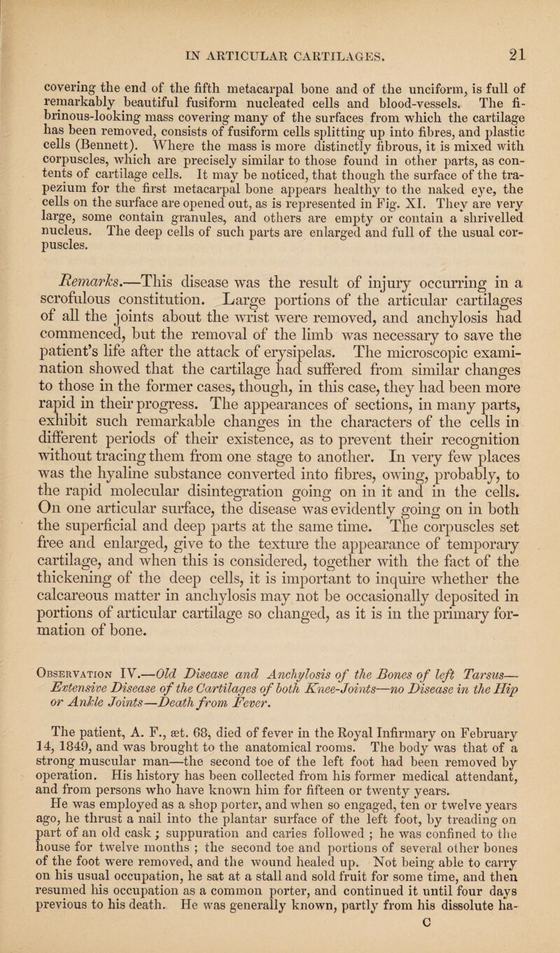 covering the end of the fifth metacarpal hone and of the unciform, is full of remarkably beautiful fusiform nucleated cells and blood-vessels. The fi¬ brinous-looking mass covering many of the surfaces from which the cartilage has been removed, consists of fusiform cells splitting up into fibres, and plastic cells (Bennett). Where the mass is more distinctly fibrous, it is mixed with corpuscles, which are precisely similar to those found in other parts, as con¬ tents of cartilage cells. It may be noticed, that though the surface of the tra¬ pezium for the first metacarpal bone appears healthy to the naked eye, the cells on the surface are opened out, as is represented in Fig. XI. They are very large, some contain granules, and others are empty or contain a shrivelled nucleus. The deep cells of such parts are enlarged and full of the usual cor¬ puscles. Remarks.—This disease was the result of injury occurring in a scrofulous constitution. Large portions of the articular cartilages of all the joints about the wrist were removed, and anchylosis had commenced, but the removal of the limb was necessary to save the patient’s life after the attack of erysipelas. The microscopic exami¬ nation showed that the cartilage had suffered from similar changes to those in the former cases, though, in this case, they had been more rapid in their progress. The appearances of sections, in many parts, exhibit such remarkable changes in the characters of the cells in different periods of their existence, as to prevent their recognition without tracing them from one stage to another. In very few places was the hyaline substance converted into fibres, owing, probably, to the rapid molecular disintegration going on in it and in the cells. On one articular surface, the disease was evidently going on in both the superficial and deep parts at the same time. The corpuscles set free and enlarged, give to the texture the appearance of temporary cartilage, and when this is considered, together with the fact of the thickening of the deep cells, it is important to inquire whether the calcareous matter in anchylosis may not be occasionally deposited in portions of articular cartilage so changed, as it is in the primary for¬ mation of bone. Observation IV.—Old Disease and Anchylosis of the Bones of left Tarsus— Extensive Disease of the Cartilages of both Knee-Joints—no Disease in the Hip or Ankle Joints—Death from Fever. The patient, A. F., set. 68, died of fever in the Royal Infirmary on February 14, 1849, and was brought to the anatomical rooms. The body was that of a strong muscular man—the second toe of the left foot had been removed by operation. His history has been collected from his former medical attendant, and from persons who have known him for fifteen or twenty years. He was employed as a shop porter, and when so engaged, ten or twelve years ago, he thrust a nail into the plantar surface of the left foot, by treading on part of an old cask ; suppuration and caries followed ; he was confined to the house for twelve months ; the second toe and portions of several other bones of the foot were removed, and the wound healed up. Not being able to carry on his usual occupation, he sat at a stall and sold fruit for some time, and then resumed his occupation as a common porter, and continued it until four days previous to his death. He was generally known, partly from his dissolute ha- C