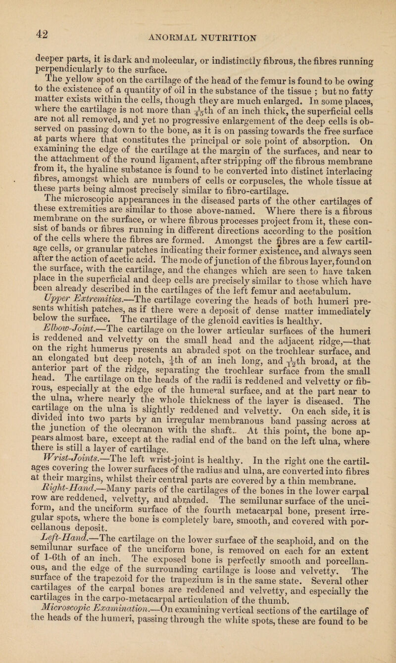 ANORMAL NUTRITION deeper parts, it is dark and molecular, or indistinctly fibrous, the fibres running perpendicularly to the surface. Ihe yellow spot on the cartilage of the head of the femur is found to be owing to the existence, of a quantity of oil in the substance of the tissue ; but no fatty matter exists within the cells, though they are much enlarged. In some places, where tlm cartilage is not more than ^th of an inch thick, the superficial cells are not all removed, and yet no progressive enlargement of the deep cells is ob¬ served on passing down to the bone, as it is on passing towards the free surface at parts where that constitutes the principal or sole point of absorption. On examining the edge of the cartilage at the margin of the surfaces, and near to the attachment of the round ligament, after stripping off the fibrous membrane from it, the hyaline substance is found to be converted into distinct interlacing fibres, amongst which are numbers of cells or corpuscles, the whole tissue at these parts being.almost precisely similar to fibro-cartilage. The microscopic appearances in the diseased parts of the other cartilages of these extremities are similar to those above-named. Where there is a fibrous membrane on the surface, or where fibrous processes project from it, these con- sist of bands or fibres running in different directions according to the position of the cells where the fibres are formed. Amongst the fibres are a few cartil¬ age cells, or granular patches indicating their former existence, and always seen after the action of acetic acid. The mode of junction of the fibrous layer, found on the suiface, with the cartilage, and the changes which are seen to have taken place m the superficial and deep cells are precisely similar to those which have been already described in the cartilages of the left femur and acetabulum. Upper Extremities*—The cartilage covering the heads of both humeri pre¬ sents whitish patches, as if there were a deposit of dense matter immediately below the surface. The cartilage of the glenoid cavities is healthy. • ^he cartilage on the lower articular surfaces of the humeri is reddened and velvetty on the small head and the adjacent ridge,—that on the right humerus presents an abraded spot on the trochlear surface, and an elongated but deep notch, |th of an inch long, and ^th broad, at the anterior part of the ridge, separating the trochlear surface from the small head. The. cartilage on the heads of the radii is reddened and velvetty or fib- ious, especially at the edge of the humeral surface, and at the part near to the ulna, where nearly the whole thickness of the layer is diseased. The caitilage on the ulna is slightly reddened and velvetty. On each side, it is divided into two parts by an irregular membranous band passing across at t le junction of the olecranon with the shaft.. At this point, the bone ap¬ peals almost bare, except at the radial end of the band on the left ulna, where there is still a layer of cartilage. Wrist-Joints. The left wrist-joint is healthy. In the right one the cartil¬ ages covering.the lower surfaces of the radius and ulna, are converted into fibres at their margins, whilst their central parts are covered by a thin membrane. Eight-Hand. Many parts of the cartilages of the bones in the lower carpal low are reddened, velvetty, and abraded. The semilunar surface of the unci- oim, and the unciform surface of the fourth metacarpal bone, present irre- gu ai spots, where the bone is completely bare, smooth, and covered with por- cellanous deposit. Left-Hand. The cartilage on the lower surface of the scaphoid, and on the ^ie unciform bone, is removed on each for an extent of 1-Cth of an inch. The exposed bone is perfectly smooth and porcellan- ous, and the edge of the surrounding cartilage is loose and velvetty. The suiface of the trapezoid for the trapezium is in the same state. Several other caitiiages of the carpal bones are reddened and velvetty, and especially the cartilages m the carpo-metacarpal articulation of the thumb. Microscopic Examination.—-On examining vertical sections of the cartilage of - le heads of the humeri, passing through the white spots, these are found to be