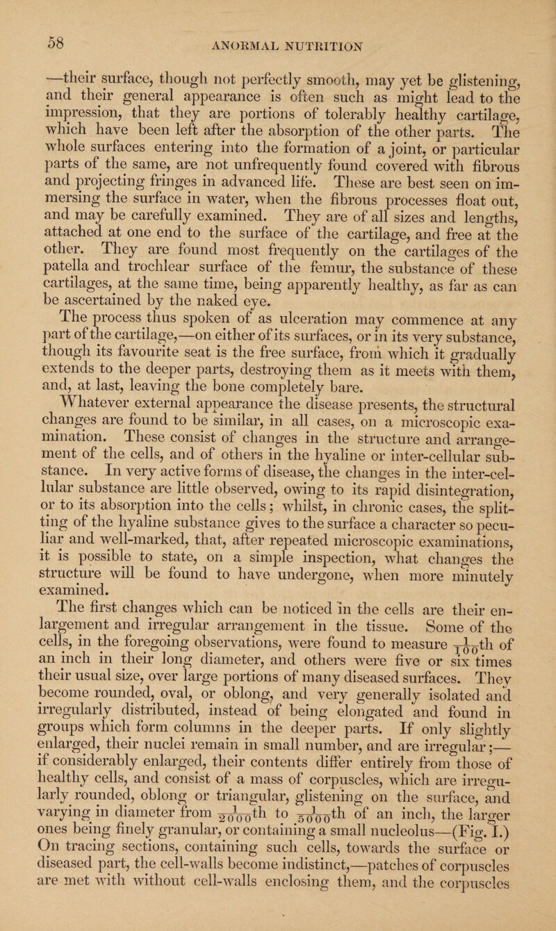 •—their surface, though not perfectly smooth, may yet be glistening, and their general appearance is often such as might lead to the impression, that they are portions of tolerably healthy cartilage, which have been left after the absorption of the other parts. The whole surfaces entering into the formation of a joint, or particular parts of the same, are not unfrequently found covered with fibrous and projecting fringes in advanced life. These are best seen on im¬ mersing the surface in water, when the fibrous processes float out, and may be carefully examined. They are of all sizes and lengths, attached at one end to the surface of the cartilage, and free at the other. They are found most frequently on the cartilages of the patella and trochlear surface of the femur, the substance of these cartilages,, at the same time, being apparently healthy, as far as can be ascertained by the naked eye. The process thus spoken of as ulceration may commence at any part of the cartilage,—on either of its surfaces, or in its very substance, though its favourite seat is the free surface, from which it gradually extends to the deeper parts, destroying them as it meets with them, and, at last, leaving the bone completely bare. Whatever external appearance the disease presents, the structural changes are found to be similar, in all cases, on a microscopic exa¬ mination. These consist of changes in the structure and arrange¬ ment of the cells, and of others in the hyaline or inter-cellular sub¬ stance. In very active forms of disease, the changes in the inter-cel¬ lular substance are little observed, owing to its rapid disintegration, or to its absorption into the cells; whilst, in chronic cases, the split¬ ting of the hyaline substance gives to the surface a character so pecu¬ liar and well-marked, that, after repeated microscopic examinations, it is possible to state, on a simple inspection, what changes the structure will be found to have undergone, when more minutely examined. The first changes which can be noticed in the cells are their en¬ largement and irregular arrangement in the tissue. Some of the cells, in the foregoing observations, were found to measure Tl()th of an inch in their long diameter, and others were five or six times their usual size, over large portions of many diseased surfaces. They become rounded, oval, or oblong, and very generally isolated and irregularly distributed, instead of being elongated and found in groups which form columns in the deeper parts. If only slightly enlarged, their nuclei remain in small number, and are irregular;_ if considerably enlarged, their contents differ entirely from those of healthy cells, and consist of a mass of corpuscles, which are irregu¬ larly rounded, oblong or triangular, glistening on the surface, and varying in diameter from ^J^th to ^^th of an inch, the larger ones being finely granular, or containing a small nucleolus—(Fig. I.) On tracing sections, containing such cells, towards the surface or diseased part, the cell-walls become indistinct,—patches of corpuscles are met with without cell-walls enclosing them, and the corpuscles