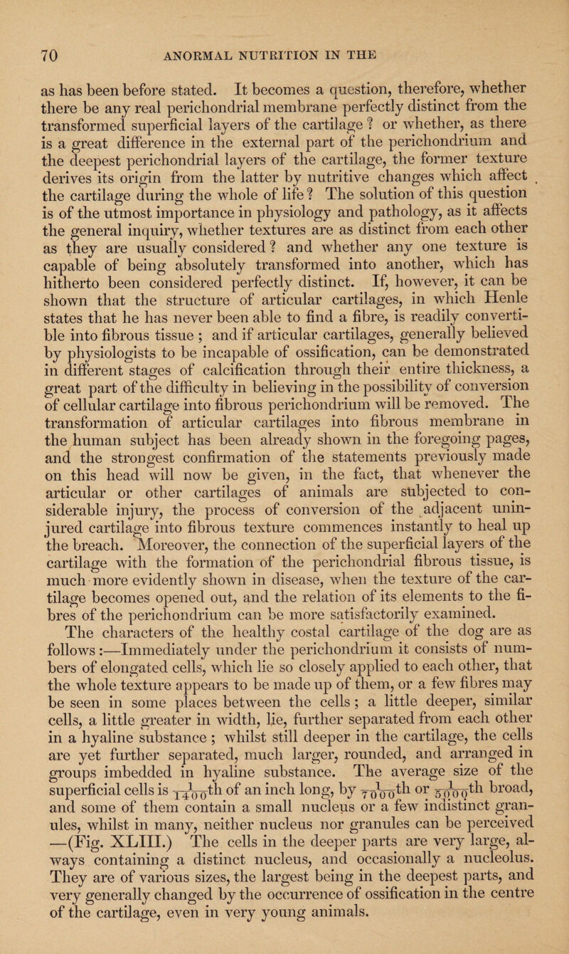 as has been before stated. It becomes a question, therefore, whether there be any real perichondrial membrane perfectly distinct from the transformed superficial layers of the cartilage % or whether, as there is a great difference in the external part of the perichondrium and the deepest perichondrial layers of the cartilage, the former texture derives its origin from the latter by nutritive changes which affect t the cartilage during the whole of life % The solution of this question is of the utmost importance in physiology and pathology, as it affects the general inquiry, whether textures are as distinct from each other as they are usually considered % and whether any one texture is capable of being absolutely transformed into another, which has hitherto been considered perfectly distinct. If, however, it can be shown that the structure of articular cartilages, in which Henle states that he has never been able to find a fibre, is readily converti¬ ble into fibrous tissue ; and if articular cartilages, generally believed by physiologists to be incapable of ossification, can be demonstrated in different stages of calcification through their entire thickness, a great part of the difficulty in believing in the possibility of conversion of cellular cartilage into fibrous perichondrium will be removed. The transformation of articular cartilages into fibrous membrane in the human subject has been already shown in the foregoing pages, and the strongest confirmation of the statements previously made on this head will now be given, in the fact, that whenever the articular or other cartilages of animals are subjected to con¬ siderable injury, the process of conversion of the adjacent unin¬ jured cartilage into fibrous texture commences instantly to heal up the breach. Moreover, the connection of the superficial layers of the cartilage with the formation of the perichondrial fibrous tissue, is much more evidently shown in disease, when the texture of the car¬ tilage becomes opened out, and the relation of its elements to the fi¬ bres of the perichondrium can be more satisfactorily examined. The characters of the healthy costal cartilage of the dog are as follows:—Immediately under the perichondrium it consists of num¬ bers of elongated cells, which lie so closely applied to each other, that the whole texture appears to be made up of them, or a few fibres may be seen in some places between the cells; a little deeper, similar cells, a little greater in width, lie, further separated from each other in a hyaline substance; whilst still deeper in the cartilage, the cells are yet further separated, much larger, rounded, and arranged in groups imbedded in hyaline substance. The average size of the superficial cells is jxVo^ of an inch long, by yxoo^1 or g-f^gth kroat4 and some of them contain a small nucleus or a few indistinct gran¬ ules, whilst in many, neither nucleus nor granules can be perceived —(Fig. XLIII.) The cells in the deeper parts are very large, al¬ ways containing a distinct nucleus, and occasionally a nucleolus. They are of various sizes, the largest being in the deepest parts, and very generally changed by the occurrence of ossification in the centre of the cartilage, even in very young animals.