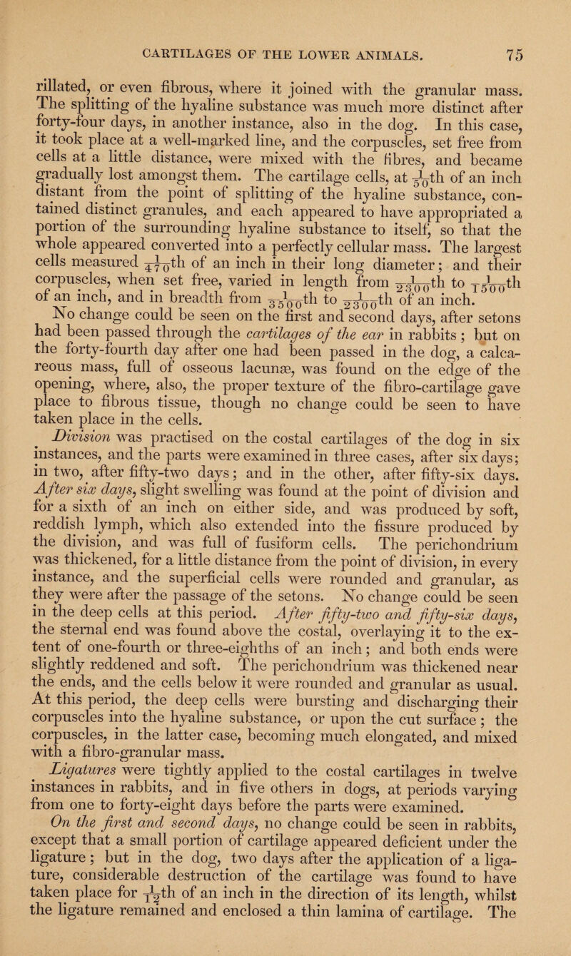 rillated,. or even fibrous, where it joined with the granular mass. The splitting of the hyaline substance was much more distinct after forty-four days, in another instance, also in the dog. In this case, it took place at a well-marked line, and the corpuscles, set free from cells at a little distance, were mixed with the fibres, and became gradually lost amongst them. The cartilage cells, at ^yth an inch distant from the point of splitting of the hyaline substance, con¬ tained distinct granules, and each appeared to have appropriated a portion of the surrounding hyaline substance to itself, so that the whole appeared converted into a perfectly cellular mass. The largest cells measured 4yoth of an inch in their long diameter; and their corpuscles, when set free, varied in length from FgL^th to ygL^th of an inch, and in breadth from g-dq^th to ^Vo^1 of an inch. No change could be seen on the first and second days, after setons had been passed through the cartilages of the ear in rabbits ; but on the forty-fourth day after one had been passed in the dog, a calca¬ reous mass, full of osseous lacunas, was found on the edge of the opening, where, also, the proper texture of the fibro-cartilage gave place to fibrous tissue, though no change could be seen to have taken place in the cells. Division was practised on the costal cartilages of the dog in six instances, and the parts were examined in three cases, after six days; in two,. after fifty-two days; and in the other, after fifty-six days. After six days, slight swelling was found at the point of division and for a sixth of an inch on either side, and was produced by soft, reddish lymph, which also extended into the fissure produced by the division, and was full of fusiform cells. The perichondrium was thickened, for a little distance from the point of division, in every instance, and the superficial cells were rounded and granular, as they were after the passage of the setons. No change could be seen in the deep cells at this period. After fifty-two and fifty-six days, the sternal end was found above the costal, overlaying it to the ex¬ tent of one-fourth or three-eighths of an inch; and both ends were slightly reddened and soft, the perichondrium was thickened near the ends, and the cells below it were rounded and granular as usual. At this period, the deep cells were bursting and discharging their corpuscles into the hyaline substance, or upon the cut surface ; the corpuscles, in the latter case, becoming much elongated, and mixed with a fibro-granular mass. Ligatures were tightly applied to the costal cartilages in twelve instances in rabbits, and in five others in dogs, at periods varying from one to forty-eight days before the parts were examined. On the first and second days, no change could be seen in rabbits, except that a small portion of cartilage appeared deficient under the ligature; but in the dog, two days after the application of a liga¬ ture, considerable destruction of the cartilage was found to have taken place for y^th of an inch in the direction of its length, whilst the ligature remained and enclosed a thin lamina of cartilage. The