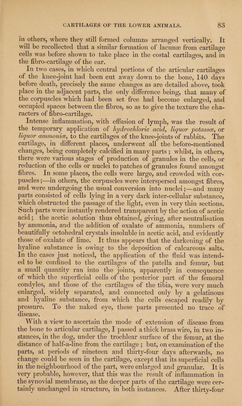 in others, where they still formed columns arranged vertically. It will be recollected that a similar formation of lacunas from cartilage cells was before shown to take place in the costal cartilages, and in the fibro-cartilage of the ear. In two cases, in which central portions of the articular cartilages of the knee-joint had been cut away down to the bone, 140 days before death, precisely the same changes as are detailed above, took place in the adjacent parts, the only difference being, that many of the corpuscles which had been set free had become enlarged, and occupied spaces between the fibres, so as to give the texture the cha¬ racters of fibro-cartilage. Intense inflammation, with effusion of lymph, was the result of the temporary application of hydrochloric acid, liquor potassce, or liquor ammoniac, to the cartilages of the knee-joints of rabbits. The cartilage, in different places, underwent all the before-mentioned changes, being completely calcified in many parts ; whilst, in others, there were various stages of production of granules in the cells, or reduction of the cells or nuclei to patches of granules found amongst fibres. In some places, the cells were large, and crowded with cor¬ puscles ;—in others, the corpuscles were interspersed amongst fibres, and were undergoing the usual conversion into nuclei;—and many parts consisted of cells lying in a very dark inter-cellular substance, which obstructed the passage of the light, even in very thin sections. Such parts were instantly rendered transparent by the action of acetic acid; the acetic solution thus obtained, giving, after neutralisation by ammonia, and the addition of oxalate of ammonia, numbers of beautifully octohedral crystals insoluble in acetic acid, and evidently those of oxalate of lime. It thus appears that the darkening of the hyaline substance is owing to the deposition of calcareous salts. In the cases just noticed, the application of the fluid was intend¬ ed to be confined to the cartilages of the patella and femur, but a small quantity ran into the joints, apparently in consequence of which the superficial cells of the posterior part of the femoral condyles, and those of the cartilages of the tibia, were very much enlarged, widely separated, and connected only by a gelatinous and hyaline substance, from which the cells escaped readily by pressure. To the naked eye, these parts presented no trace of disease. With a view to ascertain the mode of extension of disease from the bone to articular cartilage, I passed a thick brass wire, in two in¬ stances, in the dog, under the trochlear surface of the femur, at the distance of half-a-line from the cartilage ; but, on examination of the parts, at periods of nineteen and thirty-four days afterwards, no change could be seen in the cartilage, except that its superficial cells in the neighbourhood of the part, were enlarged and granular. It is very probable, however, that this was the result of inflammation in the synovial membrane, as the deeper parts of the cartilage were cer¬ tainly unchanged in structure, in both instances. After thirty-four