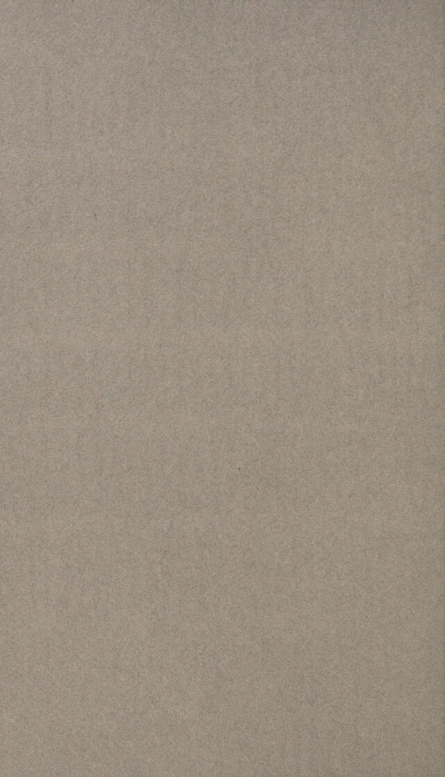 digitised image 2