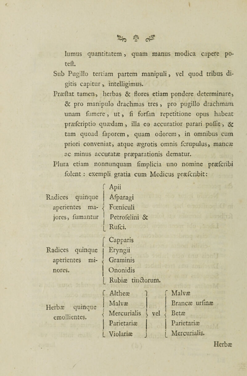 lumus quantitatem, quam manus modica capere po- tefl. Sub Pugillo tertiam partem manipuli , vel quod tribus di¬ gitis capitur, intelligimus. Praeftat tamen, herbas & flores etiam pondere determinare, 3c pro manipulo drachmas tres, pro pugillo drachmam unam fumere, ut, fi forfan repetitione opus habeat praefcriptio quaedam, illa eo accuratior parari poflit, & tam quoad faporem, quam odorem, in omnibus cum priori conveniat, atque aegrotis omnis fcrupulus, mancae ac minus accuratae praeparationis dematur. Plura etiam nonnunquam fimplicia uno nomine praefcribi folent : exempli gratia cum Medicus praefcnbit: Radices quinque aperientes ma¬ jores, fumantur Radices quinque aperientes mi¬ nores. Herbae quinque emollientes. f Apii Afparagi { Foeniculi ! Petrofelini <3c {_ Rufci. Capparis Eryngii ^ Graminis J Ononidis L Rubiae tin&orum. Altheae Malvae Mercurialis y vel j Parietariae j L Violariae j Malvae Erancae urfinae ^ Betae j Parietariae [ Mercurialis. Herbae