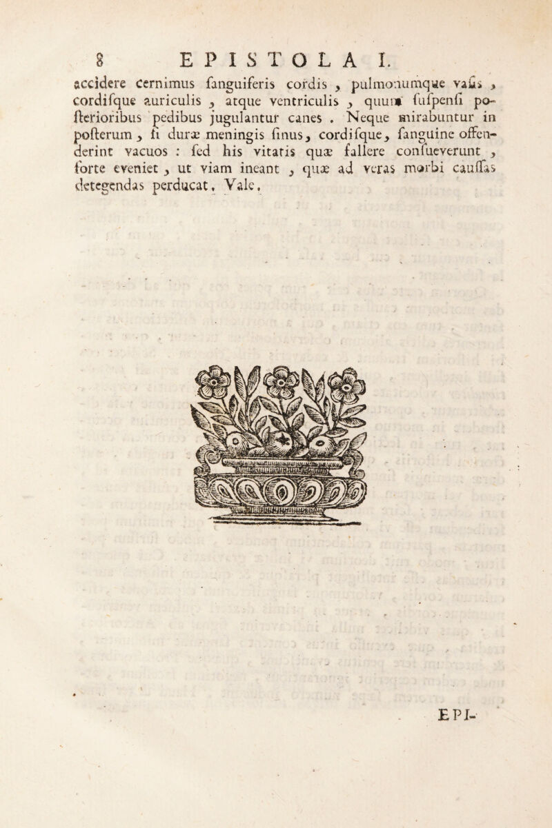 t accidere cernimus fanguiferis cordis > pulmonumque vaks , cordifque auriculis 3 atque ventriculis > quurtf fufpenil po~ fterioribus pedibus jugulantur canes . Neque mirabuntur in pofterum 3 ii durae meningis finus, cordifque_> fanguine offen¬ derint vacuos : fed his vitatis qu.x fallere confueverunt , torte eveniet 3 ut viam ineant ^ quae ad veras morbi cauffas detegendas perducat» Vale, EPJ-
