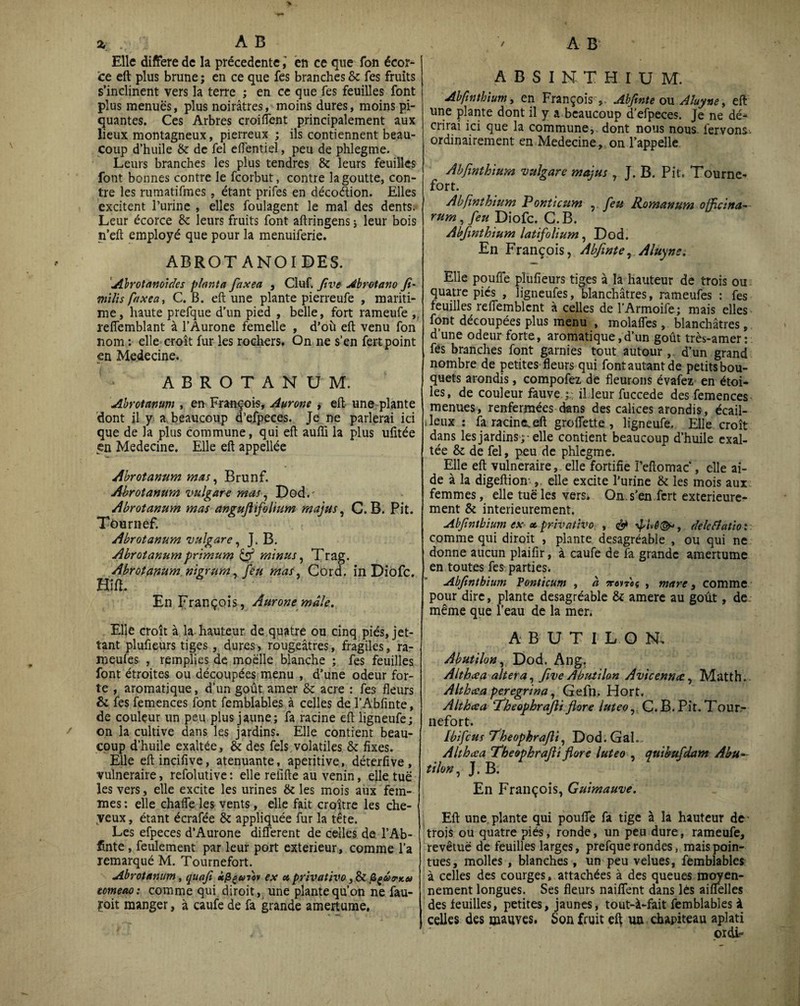 Elle différé de la précédenteen ce que fon écor- ice eft plus brune ; en ce que fes branches & Tes fruits s’inclinent vers la terre ; en ce que fes feuilles font plus menues, plus noirâtres, moins dures, moins pi¬ quantes. Ces Arbres croiffent principalement aux lieux montagneux, pierreux ; ils contiennent beau¬ coup d’huile & de fel effentiel, peu de phlegme. Leurs branches les plus tendres & leurs feuilles font bonnes contre le fcorbut, contre la goutte, con¬ tre les rumatifmes , étant prifes en décodion. Elles excitent Turine , elles foulagent le mal des dents. Leur écorce 6c leurs fruits font aftringens ; leur bois n’eft employé que pour la menuiferie. ABROT ANOIDES. 'Abrotanoides planta faxea , Cluf. five Abrotano fi- mïlis faxea, C. B. eft une plante pierreufe , mariti¬ me, haute prefque d'un pied , belle, fort rameufe ,. reffemblant à l’Aurone femelle , d’où eft venu fon nom : elle croît fur les rochers. On ne s’en fert point en Medecine. ^ ABROTANUM. Abrotanum , en François, Aurone , eft une plante dont il y a beaucoup d’efpeces. Je ne parlerai ici que de Ja plus commune, qui eft aufti la plus ufitée en Medecine. Elle eft appellée Abrotanum mas, Brunf. Abrotanum vulgare mas, Dod.' Abrotanum mas anguftifolium majus, C. B. Pit. Tour nef. Abrotanum bulgare, J. B. Abrotanumprimum & minus, Trag. Abrotanum nigrurn, feu mas. Cord. in Diofc. Hîft. En François, Aurone mâle. Elle croît à la hauteur de quatre ou cinq piés, jet- tant plufteurs tiges, dures, rougeâtres, fragiles, ra¬ meutes , remplies de moelle blanche ; fes feuilles font étroites ou découpées menu , d’une odeur for¬ te , aromatique, d’un goût amer & acre : fes fleurs & fes femences font femblables à celles de l’Abfinte, de couleur un peu plus jaune; fa racine eft ligneufe; on la cultive dans les jardins. Elle contient beau¬ coup d’huile exaltée, & des fels volatiles & fixes. Elle eftincifive, atenuante, aperitive, déterfive, vulnéraire, refolutive : elle refifte au venin, elle tuë les vers, elle excite les urines & les mois aux fem¬ mes : elle chaffe les vents, elle fait croître les che- yeux, étant écrafée & appliquée fur la tête. Les efpeces d’Aurone different de celles de l’Ab- ffnte, feulement par leur port extérieur, comme l’a remarqué M. Tournefort. Abrotanum, quafi x/içmov ex et privativo, & jZçutkh tomeao: comme qui diroit, une plante qu’on ne fau- roit manger, à caufe de fa grande amertume. A B S I N T H I U M. Abfinthium, en François ,, Abfinte ou Aluyne, eft une plante dont il y a beaucoup d’efpeces. Je ne dé¬ crirai ici que la commune, dont nous nous, lërvons.. ordinairement en Medecine , on l’appelle Abfinthium bulgare majus , J. B. Pit. Tourne¬ fort. Abfmthium P onticuni feu Romanum officina- rum, feu Diofc. G. B. Abfinthium latifolium, Dod. En François, Abfinte ^Aluyne. Elle pouffe pîufieurs tiges à la hauteur de trois ou quatre piés , ligneufes, blanchâtres, rameufes : fes feuilles reffemblcnt à celles de l’Armoife; mais elles font découpées plus menu , molaffes , blanchâtres, d’une odeur forte, aromatique,d’un goût très-amer: fés branches font garnies tout autour, d’un grand nombre de petites fleurs qui font autant de petits bou¬ quets arondis, compofez de fleurons évafez en étoi¬ les, de couleur fauve.;.; il leur fuccede des femences menues, renfermées dans des calices arondis, écail¬ leux : fa racine, eft groffette , ligneufe. Elle croît dans les jardins ;-elle contient beaucoup d’huile exal¬ tée & de fel, peu de phlegme. Elle eft vulnéraire, elle fortifie ïveftomac , elle ai¬ de à la digeftion-, elle excite l’urine & les mois aux femmes, elle tuë les vers» On.s’en fert extérieure¬ ment & intérieurement. Abfinthium ex et privative , & \pivê(&, deleflatio : comme qui diroit , plante desagréable , ou qui ne donne aucun plaifir, à caufe de fa grande amertume en toutes fes parties» Abfinthium Vonticum , à ttovtoç , mare, comme pour dire, plante desagréable 6i amere au goût, de- même que l’eau de la mer. A B U T I L O Ns Abutilon, Dod. Àng. Althcea altéra, five Abutilon Avicennœ, Matth. Althcea peregrina, Gefn, Hort. Althcea Theophrafii flore luteo,. C. B. Pit. Tour¬ nefort. Ibifcus Theophrafii, Dod. Gai. Althcea Theophrafii flore luteo , quibufdam Abu— tilon, J. B. En François, Guimauve. Eft une plante qui pouffe fa tige à la hauteur de trois ou quatre piés, ronde, un peu dure, rameufe, revêtuë de feuilles larges, prefque rondes, mais poin¬ tues, molles , blanches , un peu velues, femblables à celles des courges, attachées à des queues moyen¬ nement longues. Ses fleurs naiffent dans lés aiffelles des feuilles, petites, jaunes, tout-à-fait femblables à celles des mauves. Son fruit eft tin chapiteau aplati