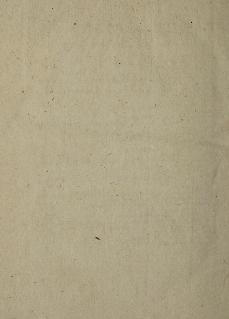 J { * «• % \ \ I / . r • i \ v i , ✓ »