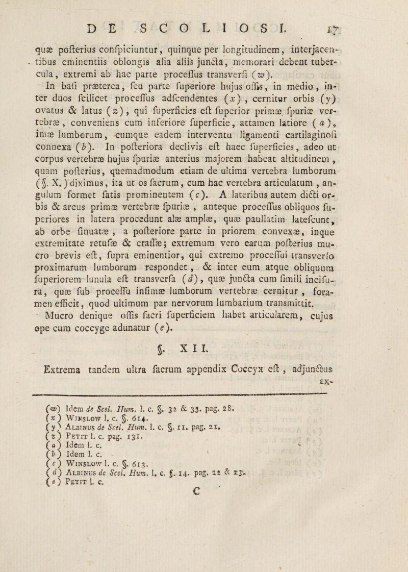 quse poflerius confpiciuntur, quinque per longitudinem, interjacen- . tibus eminentiis oblongis alia aliis junfiia, memorari debent tuber* cula, extremi ab hac parte procefllis transverfi (w). In baO praeterea, feu parte fiiperiore hujus offis, in medio, in¬ ter duos fcilicet proceflus adfcendentes (x) , cernitur orbis (y) ovatus & latus (s), qui fuperficies efl: fuperior primse. fpurise ver- tebrse, conveniens cum inferiore fuperficie, attamen latiore imoe lumborum, cumque eadem interventu ligamenti cartilaginofi connexa (Z?). In pofteriora declivis efl haec fuperficies, adeo uc corpus vercebrse hujus fpurise anterius majorem habeat altitudinem , quam poflerius, quemadmodum etiam de ultima vertebra lumborum (§. X*)diximus, ita ut osfacriim, cum hac vertebra articulatum , an¬ gulum formet fatis prominentem (c), A lateribus autem di6li or¬ bis & arcus primae vertebrae fpiiriae , anteque proceflTus obliquos fii- periores in latera procedunt al^ amplae, quae paullatim latefcunt^ ab orbe finuatae , a pofteriore parte in priorem convexae, inque extremitate retufae & cralTae; extremum vero earum pofterius mu¬ cro brevis efl, fupra eminentior, qui extremo proceiTui transverlo proximarum lumborum respondet, & inter eum atque obliquum fuperiorem lunula efl transverfa (d)^ quae j[iin6la cum fimili incifa- ra, qute fub proceflu infimae lumborum vertebrae cernitur, fora¬ men efficit, quod ultimum par nervorum lumbarium transmittit. “ Mucro denique offis facri fuperficiem habet articularem, cujus ope cum coccyge adunatur {e}, 5- X I L Extrema tandem ultra facrum appendix Coccyx efl , adjanflus ex- (w) Idem de Scel. Hum. 1. c. §. 32 & 33. pag. 28» (x') WlKSLOW 1. C. §. 614. (y) Albucus de Scel. Hum. 1. c. §. ii. pag. 21* (z) Petit 1. c. pag. 131. (a) Idem 1. c. (h^ Idem 1. c. ^ f c; WiNSLOwl. c. §. 613, ( d) Albinus de Scel, Hum. 1, c. f. 14. pag. 22 & ^3'* ( ^ ) Petit L c. v C ^