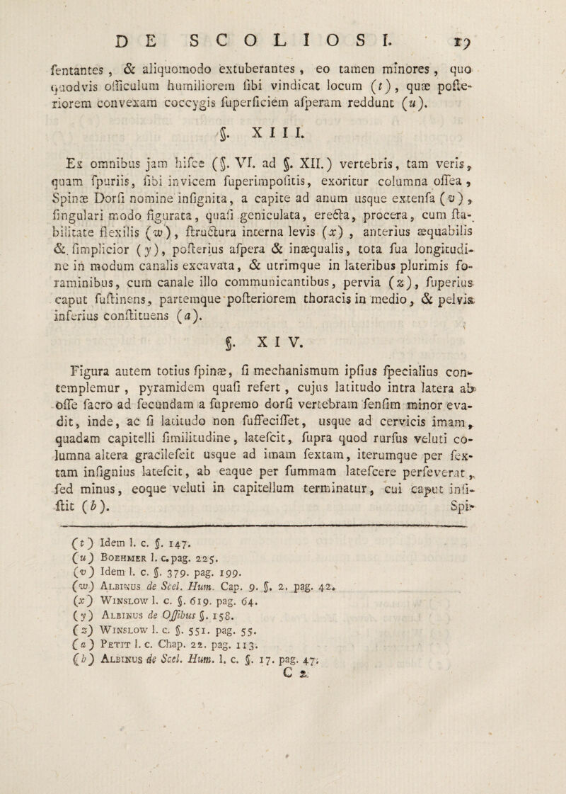 fentantes , & aliquomodo extuberantes , eo tamen minores, quo= qaodvis oiriculum humiliorem fibi vindicat locum (t) , quse pofle- riorem convexam coccygis fuperficiem afperam reddunt («). §. XII I. Ex omnibus jam hifce (§. VI. ad g. XII.) vertebris, tam veris, quam fpuriis, fibi invicem fuperirapofitis, exoritur columna offea , Spinoe Dorfi nomine infignita, a capite ad anum usque extenfa (^) 5 hngulari modo figurata, quaO geniculata, eredla, procera, cum fta- bilitate flexilis (w) ^ flrudlura interna levis (ar) , anterius ^qiiabilis fimplicior (j), poflerius afpera & inaequalis, tota fua longitudi¬ ne ih modum canalis excavata, & utrimque in lateribus plurimis fo¬ raminibus, cum canale illo communicantibus, pervia (%), fuperius caput fuflinens, partemque'pofteriorem thoracis in medio , & pelvis. inferius conflituens (a), g. XIV. Figura autem totius fpinae , fi mechanismum ipfius fpecialius con^ templemur , pyramidem quafi refert , cujus latitudo intra latera ab ofle facro ad fecundam a fupremo dorfi vertebram'fenfim minor eva¬ dit, inde, ac fi latitudo non fuffecifiet, usque ad cervicis imam,, quadam capitelli fimiikudine, latefcit, fiipra quod rurfus veluti co¬ lumna altera gracilefcit usque ad imam fexcam, iterumque per fex- tam infignius latefcit, ab eaque per fummam lacefcere perleverat,, fed minus, eoque veluti in capitellum terminatur, cui caput infi- ftit (b), Spb Cc ) Idem I. c. 5. 147. (^u) Boehmer I. c.pag. 225. (-i;) Idem 1. c. 379. pag. 199. (w) Albi^'us de Scel. Hum, Cap. 9. 5« 2, pag. 42«^ (x} WiNSLOw 1. C. §. 619. pag. 64. (3?) Albinus de OJJlbus 158. fs) WiNSLOw 1. c. g. 551. pag. 55. Ca) Petit 1. c. Chap. 22. pag. 113. ^b) Albinus ds Sael. Eum. 1. c. §. 17. pag. 47. C s. .