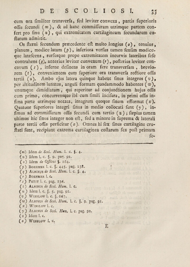 ■cum ora fimiliter transverfa, fed leviter convexa , partis fuperioris offis fecundi (m), & ad hanc commiffliram utrimque partem con¬ fert pro fimi («) 5 qui extremitatem cartilagineam fecundarum co* flarum admittit. Os flerni fecundum prsecedente efl multo Jongius (0), tenuius, planum, modice latum (p), inferiora verfus tamen fenfim modice- que latefcens, rurfusque prope extremitatem incurvis lateribus fefe contrahens (^), anterius leviter convexum (r), poflerius leviter con¬ cavum ( r) 5 inferne definens in oram fere transverfam , brevio¬ rem (f), convenientem cum fuperiore ora transverfa reftiore offis tertii (u). Ambo ejus latera quinque habent finus integros (t?), per altitudinem lunatos, anguli formam quodammodo habentes ('Zt?), unumque dimidiatum , qui repericur ad conjunftionem hujus offis cum primo, concurrensque ibi cum fimili iiicifura, in primi offis in¬ fima parte utrimque notata, integrum quoque finum efformat (x), Quatuor fuperiores integri finus in medio collocati font (3'), in¬ fimus ad commiflliram offis fecundi cum tertio (s); fa^pius tamen ultimus hic finus integer non efi, fed a minore in fuprema & laterali parte tertii offis perficitur (^). Omnes hi fex finus cartilagine cru- ftati funt, recipiunt extrema cartilaginea coflarum fex pofl: primam fe- (^pi) Idem de Scel. Hum. L c. 4. (71) Idem 1. c. 5' 9- 92- (0) Idem de OJfibus J. 164. fp) Boehmer 1. c. J. 445. pag. 23S- ^q) Albinus de SceL Hum, 1. c, 5* 4* f r } Boehmer 1. c. f s) Petit 1. c. pag. O) Albinus de Scel. Hum. 1. c. {u) Idem 1. c. §. 5. pag. 91, (v) WiNSLOW 1. c. 5. 667. ('u;} Albinus de Scel. Hum» 1. c. pag, 91, (x) WlNSLOWi.C. ([y) Albinus de Scel. Hm» 1, c. pag. 92, (2) Idem 1. c. («} WiNSLOW 1. C. £