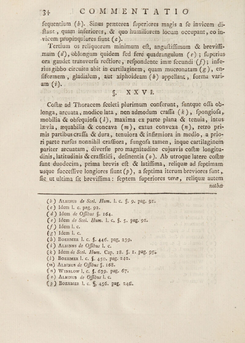 ! feqiientiiHii (/;). Sin^s pr^terea fuperiores magis a fe invicem di- ftanc, quam inferiores, & quo liuiniiiorem locum occupant, eo in- .vicem, propinquiores fiunt (c).. . • Tertium os reliquorum minimum eft, anguiliffimum & breviffi- mum (i/)/oblongam quidem fed fere quadrangulum (^■) ; fuperius ora gaudet transverfa rectiore, refpondence imas fecundi (/); infe- liusgibbo circuitu abit in cartilaginem, quam mucronatam (g), en- fiformem , gladialem, aut i^iphoideam \h) appellanc, forma varb- am (f). - , > 5, X X V I. Collas ad Thoracem fceleti plurimum conferunt, fimtque ofia ob¬ longa, arcuata, modice lata , ncn admodum cralTa {k) ^ fpongiofa,. mobilia & obfequiofa (i), maxima ex parte plana & tenuia, intus> laevia, aequabilia & concava (m), extus convexa (w), retro pri¬ mis partibuscralTa & dura, tenuiora & infirmiora in medio, a prio¬ ri parte rurfus nonnihil crafiiora, fungofa tamen, inque cartilaginem pariter arcuatam , diverfae pro magnitudine cujusvis coftee longitu¬ dinis, latitudinis &craffidei, definentia (0). Ab utroquedatere coftee* funt duodecim, prima brevis eft & latiflima, reliquae ad feptimam usque fuccefiive longiores fiunt (p), a feptima iterum breviores fune,, fic ut ultima fit breviffima: feptem fuperiores verce, reliquee autem notha)r (Z?) Albinus de SceL Hum. 1. c. f. 9. pag. 91:, ( c) Idem 1. e. pag. 92. (^d') Idem de OJJlbus J. 154. Idem de SceL Him. 1. c, f. 5. pag. 91* {f) Idem 1. c. Idem 1. c, (7/ Boehmer I. c. 5* 44(5. pag, 239* (i') Albinus de OJJlbus I, c. ''' Idem7e SceL Hum. Cap. 18. §• i* p2g* (/) Boehmer I. c. }. 450. pag. 242. (m) Albinus de OJJlbus 168. f n) WiNSLOw ]. c. 5* 639. pag. 67. (0 ) Albinus de OJfibus l. c.