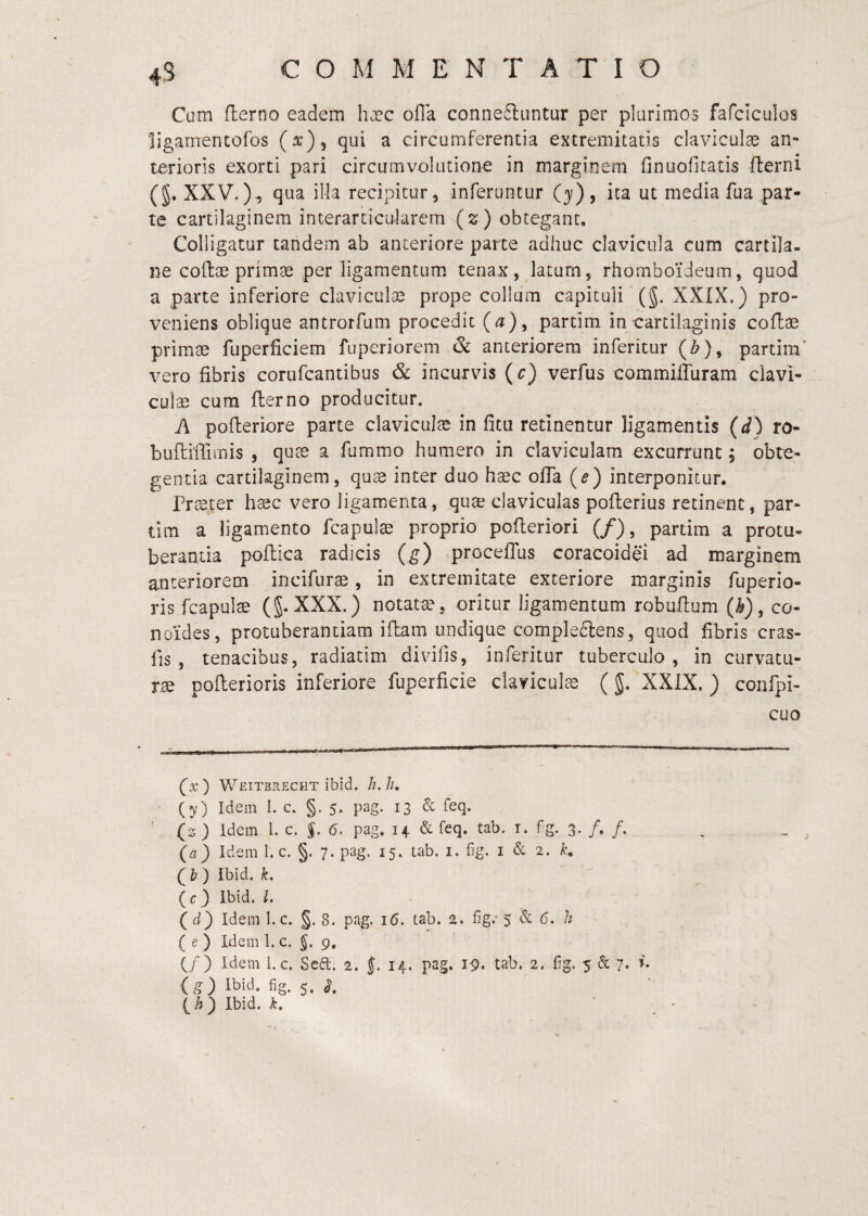 45 Cum flerno eadem haec ofla conneiliintur per plurimos fafciciilos ligarrrentofos (^), qui a circumferentia extremitatis claviculae an¬ terioris exorti pari circumvolutione in marginem finuofitati5 fterni (§. XXV.), qua illa recipitur, inferuntur (31), ita ut media fua par¬ te cartilaginem interarticukrem (2;) obtegant. Colligatur tandem ab anteriore parte adhuc clavicula cum carfila- ne coite primae per ligamentum tenax, latum, rhomboideum, quod a parte inferiore claviculae prope collum capituli (J. XXIX.) pro¬ veniens oblique antrorfum procedit (^), partim in cartilaginis coftae primae fuperficiem fuperiorem & anteriorem inferitur (Z?), partim vero fibris corufcantibus & incurvis (c) verfus commiiTuram clavi¬ culae cum flerno producitur. A polleriore parte claviculae in fitu retinentur ligamentis {d) ro- buflilTiinis , quae a fummo humero in claviculam excurrunt; obte¬ gentia cartilaginem, quts inter duo haec ofla {e) interponitur. Praeter haec vero ligamenta, quae claviculas poflerius retinent, par¬ tim a ligamento fcapulae proprio pofleriori (/), partim a protu¬ berantia poflica radicis (g) procefTus coracoidei ad marginem anteriorem incifurae, in extremitate exteriore marginis fuperio- ris fcapulae (J. XXX.) notatae, oritur ligamentum robuflum (h), co- noides, protuberandam iflam undique compleflens, quod fibris cras- fis , tenacibus, radiatim divifis, inferitur tuberculo, in curvatu¬ rae poflerioris inferiore fuperficie claviculae (§. XXIX. ) confpi- cuo (x) Weitbrecht ibid. h.h. (y) Idem I. c. §.5. pag. 13 & feq. (2 ) Idem 1. c. §. 6. pag. 14 & feq. tab. i. Fg. 3. /. /. (a) Idem 1. c. §. 7. pag. 15. tab. i. fig. i & 2. (t ) Ibid. k. (^c) Ibid. l. (d) Idem l.c. §. 8. pag. i(5. tab. 2. fig.‘ 5 & 6. h ( e ) Idem 1. c. J. 9, (/) Idem l.c. Sc6t. 2. J. 14. pag. 19* tab. 2. fg. 5 & 7* i-h ) Ibid. k. 1