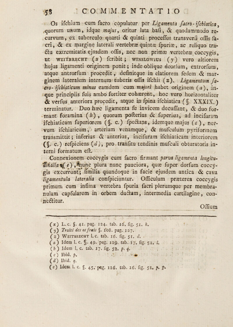 Os ifchlam' Cum facro‘ COpulatar Ligamenta facro^ Ifchiaticit^ ^quorum UHLim, idque majus y oritur lata bafi, & quodammodo re¬ curvum, ex tuberculo: quarti & quinti proceffus transverO offis fa- cri,.& ex margine laterali .vertebrae’quintae fpuriae, ac reliquo tra- £lu extremitatis.ejusdem offis, nec non primas vertebrae coccygis, ut WEiTBRECHT' fcrlbit; wiNSLOwius (y ) vero akiorem hujus digamenti originem ponit ; inde oblique deorfum, extrorfum, atque antrorfum procedit,? definitque in elatiorem fedem & mar¬ ginem lateralem internum tuberis offis ifchii (z). Lrgamentum fa- ' cro-'ifcbiaticum minus eamdem cum. habet originem (^a), in- que principiis fuis ambo fortiter cohaerent:,rhoc vero horizontalker & verfus anteriora procedit, atque iml^ina ifchiatica (g, XXXIX.) terminatur. Duo haec ligamenta fe invicem decuiTanc, & duo for- 'inant foramina’ (b) , quorum pofterius & fuperius, ad incifuram ifchiaticam fuperiarem (§. c.) fpeSans, idemque majus (g)^ ner¬ vum ifchiaricumv') arteriam venamque ^ & mufculum pyriforrnem transmittit; inferius & anterius, incifuram ifchiaticam interiorem c.) refpiciens (d), proetrahfitu tendinis mufculi obturatoris in¬ terni formatum efl. >' Connexionem-'coccygis cum {kcro &nnant parva ligamenta longitu- e) plura nunc pauciora, quae fuper dorfura coccy¬ gis excurrunt; iimilia quandoque in facie ejusdem antica & cava ligamentula lateralia confpiciuntur. Officulum praeterea coccygis 'primum cum infima vertebra fpuria facri plerumque per membra¬ nulam capfularem in orbem duciam, intermedia cartilagine, con- neftitur. Offium (x) L. c. 5. 41. pag. 124. tab. i5. fig. 51. k. CD Traiti des os frais J. 108. pag. 127. f 2} Weitbrecht 1. c. tab. 16. fig. 51. d. . (a) Idem 1. c. §. 49. pag. 129. tab. 17’. fig. 52, L (Z?) Idem 1. c. tab. 17. fig. 52. q, (c) Ibid. p. » Cd) Ibid. q. (e) Idem l. c. 45.'pflg. 126, tab. 16. fig. 5I0. p. f*