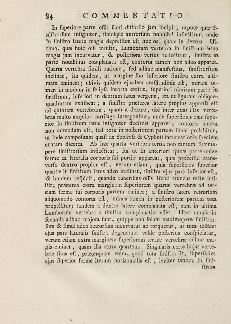 In fuperiore parte offis facri diflorfio jam incipit, utpote quse S- niftrorfuna infigniter, fimulqne anirorfam nonnihi! infledlittir, unde, in finiftro latere magis deprefTum eft hoc os, quam in dextro. Ul¬ tima, quae huic olli infiftit. Lumborum vertebra fn finiffrum latus magis jam incurvatur , & pofterrora^ verfus relieftitur, finiftra in parte notabilius complanata eftcontorta tamen non adeo apparer. Quarta vertebra fimili ratione, fed adhuc manifefliiis, finiflrorfum inclinat, ita quidem, ut margine fuo inferiore finiftro extra ulti¬ mam emineat; ubivis quidem ejlisdem craflitudinis eft, mirum ta¬ men in modum in fe ipfa intorta exiftit, fuperiori nimirum parte im finiftrum , inferiori in dextrum htus vergens , ita ut figuram obliquo- quadratam exhibeat; a finiftro praeterea latere propius apprefia eft ad quintam vertebram , quam a dextro, ubr inter duas illas verte¬ bras multo amplior cartilago interponitur , unde fuperficies ejus fupe- rior in finiftrum latus infigniter declivis apparet; contorta autem Bon admodum eft, fed tota in pofteriorem partem fimul prolabitur, ut inde compofitam quafi ex Scoliofi & Cyphofi incurvationis fpecieni' enatam diceres. Ab hstc quarta vertebra tertia non tantum fiimmo- pere finiflrorfum infleftitur , ita ut in anteriori fpinse parte unice ferme ea lateralis corporis fui portio appareat, quae procefFui trans- verfo dextro propior eft , verum edam , quia fuperficies fuperior quartae in finiftrum latus adeo inclinat, finiftra ejus pars inferior eft, & humum refpicit, quando tuberibus offis ifchii truncus refte infi- ftit; praeterea extra marginem fuperiorem quartae vertebrae ad ter¬ tiam ferme fui corporis partem eminet; a finiftro latere retrorfum* aliquomodo contorta eft , minus tamen in pofteriorem partem tota propellitur; tandem a dextro latere complanata eft, cum in ultima Lumborum vertebra a finiftro complanatio effet. Haec omnia in fecunda adhuc majora funt, quippe non folum maximopere finiftror- fum & fimul adeo retrorfum incurvatur ac torquetur , ut tota ^fcilicec ejus pars lateralis finiftra degenerata yalde pofterius confpiciatur,, verum edam extra marginem fuperiorem tertiae vertebrae adhuc ma¬ gis eminet, quam illa extra quartam. Singularis certe hujus verte¬ brae fitus eft, praeterquam enim, quod tota finiftra fit, fuperficies ejus fuperior ferme iterum horizontalis eft , leviter tantum in fini- flrum.