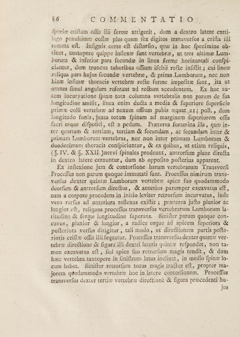 cridam oiTi^ ilii ferme attigerit , dum a dextro latere carti- liigo pen 111limae coilse pias quam iex digitos transverfos a crida ilii remota eft. Infignis certe efl didorfio, quoe in hoc fpecimine ob- •tinec, tantopere quippe indexse funt.vertebrae, ut tres ultimae Lum¬ borum & inferior pars fecundae in linea ferme horizontali confpi .ciantur, dum truncus tuberibus offium ifchii re(de infidit; cui lineae ^reliqua pars hujus fecundae vertebrae, & prima Lumborum, nec non .binae infimae thoracis vertebrae re6le ferme impofitae fune , ita ut omnes fimul angulum referant ^ad re61:um accedentem. Ex hae au¬ ctem incuryatione fpinae tota columna vertebralis non parum de fua longitudine amifit, linea enim du6la a media & fuperiore fiiperficie primae colli vertebrae ad nexum offiiim pubis aequat 2ij poli., dum- longitudo funis, juxta totam fpinam ad marginem'fuperiorem ollis facri usque difpofiti, ed 2 pedum. Praeterea foramina illa, quae in¬ ter quartam & tertiam, tertiam & fecundam , ac fecundam inter & primam Lumborum vertebras, nec non inter primam Lumborum & duodecimam thoracis confpiciuntur, & ex quibus, ut etiam reliquis, (JelV. & XXIL)nervi fpinales prodeunt, antrorfum plane dire6la in dextro latere cernuntur, dum ab oppofito poderius apparent. Ex indexione jam & contorfione harum vertebrarum Transverfi ProceiTus non parum quoque immutati dint. Proceffus nimirum trans- verfus dexter quintae Lumborum vertebrae apice fuo quodammodo deorfum & antrorfum dire6lus, & anterius parumper excavatus ed, nam a corpore procedens in initio leviter retrorfum incurvatus, inde vero rarfus ad anteriora reflexus exidit ; praeterea judo planior ac longior ed, reliquos procelTus transverfos vertebrarum Lumborum la¬ titudine & feroie longitudine fuperans. Sinifler parum quoque con¬ cavus , planior & longior, a radice usque ad apicem fuperiora & poderiora verfus dirigitur , tali modo, ut diredlionera partis pode- rioris cridoe offis iliifequatur. ProcelTus transverfus dexter quartae ver¬ tebrae direblione & figura* illi dextri lateris quintee refpondet, non ta¬ men excavatus ed , fed apice fiio retrorfum magis tendit, & dum haec vertebra tantopere in linidrum latus inclinat, in medio fpince lo¬ cum habet. Sinider retrorfum totus magis tra6lus ed, propter ma¬ jorem qi^odammodo vertebrae hoc in latere contorflqnem. Proceffus transverfus dexter tertiae vertebrae direftione & figura praecedenti ha- jus