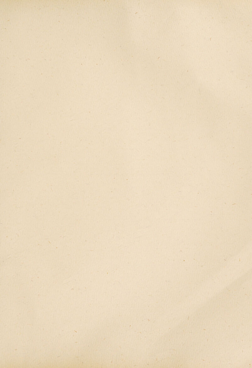 . > V \ 4 ’ / / 4 -5»* t L / 4 ? H' V t i. ' • “N . > i \ i \ y K N :< •Ir t' » •V \ ■f' / \ ^ . N,'- >6 '•> l. / w ir A /V , . '•' r . ** X 4 ■k > ' j •HT- / N ■ X j*' ’ •■ \ r '■' ■-.-\ :■ V -5.-': , > • } r' V •V N •'