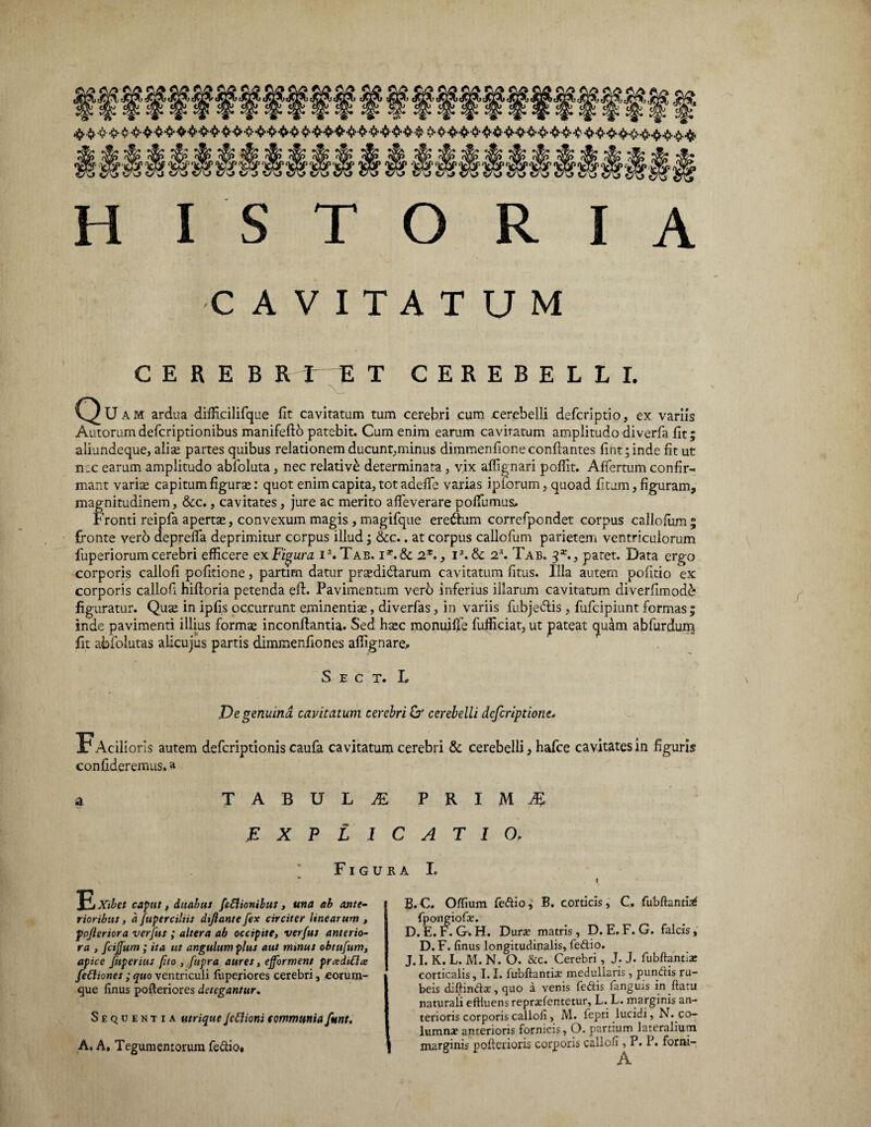 * H Ilii MMMM 'MMM‘M H $ MMMMMMMMMMMM fk*YM3(n '\f O j t7'o 0'Z> £-o OX» <7v> «70 tyo t/ j Tjr- 'vYjp ‘tyr ‘ 70 vO CO CO < 'U l/\J VO 6?v H ISTO R IA •CAVITATUM C E R E B R I E T CEREBELLI. v Q U A m ardua difHcilifque llt cavitatum tum cerebri cum cerebelli defcriptio, ex variis Autorum defcriptionibus manifefto patebit. Cum enim earum cavitatum amplitudo diverfa Iit; aliundeque, alise partes quibus relationem ducunt,minus dimmenfione conflantes fint;inde fit ut n.c earum amplitudo abfoluta, nec relative determinata , vix aflignari pofflt. Affertum confir¬ mant varise capitum figurte: quot enim capita, tot adefle varias iplorum, quoad fitum, figuram, magnitudinem, &c., cavitates, jure ac merito afieverare poflumus* Fronti reipfa apertte, convexum magis , magifque eredhim correfpondet corpus callofum; fronte vero deprefla deprimitur corpus illud; &c.. at corpus callofum parietem ventriculorum fuperiorum cerebri efficere exFigura ia. Tab. i*.& 2*., ia.&c 2a. Tab. 3x., patet. Data ergo corporis callofi politione, partim datur pr^didfarum cavitatum fitus. Illa autem pofitio ex corporis callofi hifloria petenda eft. Pavimentum vero inferius illarum cavitatum diverflmod& figuratur. Quse in ipfis occurrunt eminentia, diverfas, in variis fubjedtis , fufcipiunt formas ; inde pavimenti illius formse inconflantia. Sed hasc monuiffe fufficiat, ut pateat quam abfurdum fit abfolutas alicujus partis dimmenflones aflignare. S E C T. L Ve genuina cavitatum cerebri & cerebelli defcriptione* I^Acilioris autem defcriptionis caufa cavitatum cerebri & cerebelli} hafce cavitates in figuris confideremus.» TABULA PRIMtE EXPLICATIO. Figura I. Yihet caput, duabus fefliotiibus , una ab ante¬ rioribus, a fuperciliit dijlante fex circiter linearum , pojleriora verfus ; altera ab occipite, verfus anterio- ra > fcijjum ; ita ut angulum plus aut minus obtttfum, apice fuperius fuo , fupra aures, ejforment prtediflce feCliones; quo ventriculi fuperiores cerebri, eorum- <jue finus pofteriores detegantur. Sequentia utrique Jettioni tommunia funt. A. A, Tegumentorum fedio* B.C. Oflium fedio, B. corticis, C. fubftantiaf fpongiofae. D. E.F.G. H. Durae matris, D. E.F. G. falcis, D. F. finus longitudinalis, fedio. J. I. K. L. M. N. O. &c. Cerebri, J. J. fubftantiae corticalis, 1.1. fubftantiae medullaris , pundis ru¬ beis diffindar, quo a venis fcdis fanguis in fetu naturali effluens reprxfentetur, L. L. marginis an¬ terioris corporis callofi , M. fepti lucidi, N. co¬ lumnae anterioris fornicis, O. partium lateralium marginis poflerioris corporis callofi , P. P. forni-