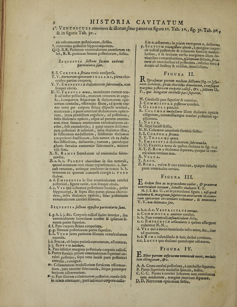 i HISTORIA i°.Ventriculi anteriores & illorumJinus & in figuris Tab. 33%. a cis columnarum pofteriorum, fedio. *. extremitas pofterior hippocamporum» Q.Q. R.R. Parietum ventriculorum anteriorum ce- bri, R. R. parietum finuum pofteriorum, fedio. Sequentia feClioni faciem exibenti particularia funt. S. S. Corpora Jlriata venis confperfa. T. V. Nervorum opticorum thalami, plexu cho¬ roideo partim cooperti. V. V. Eminentia; thalamorum fubrotunda, non femper obvia:. U. U. Frenula nova, membrana* cornea? ocu¬ li ad inflar pellucida , truncum venarum in angu¬ lo , a corporum ftriatorum & thalamorum opti¬ corum contadu, eflformato litum, ad quem om¬ nes vena: per corpora ftriata difperfx tendunt, coercentia ; a parte anteriori thalamorum optico¬ rum , juxta prxdidum angulum, ad pofteriora , infra thalamos opticos, uique ad partem anterio¬ rem rima: linuum anteriorum ventriculorum ce¬ rebri , fefe extendentia; a parte tamen thalamo¬ rum pofteriori & inferiori , infra thalamos illos , in fiiftantiam medullarem , fubftantia: thalamos cooperienti limillimam, fatis tamen ab ea dudu fuo diftindam, delinentia; ramum, quandoque plures furcuios eminentice fubrotunda:, mittere vifa funt. X. X. R a m u s frenulorum ad eminentias fubro- tundas. Z. a. b. c. Plexus choroideus in litu naturali, quoad texturam vero obiter reprxfentatus. a. Sur¬ culi venarum, utrinque tendentes in ramos b. b. venarum ex quarum concurfu exurgit c. vena Galeni. e. d. E m 1 n e n t 1 a in linu ventriculorum cerebri polleriori, figura: varix, non femper obvia. d. e. V 1 a qua columna: polleriores fornicis , pedes hippocampi, & fupra illas partes plexus choroi¬ deus , infra thalamos opticos, linus polleriores ventriculorum cerebri fubeunt. Sequentia feClioni oppofttce particularia funt. f. g. h. i. j. &c. Corporis calloli facies interior, feu ventriculorum lateralium cerebri & ipforum li¬ nuum paries fuperior. f. f. Pars corpora llriata cooperiens. g. g. Sinuum pofteriorum paries fuperior. h. h. V e n a juxta parietem illorum ventriculorum extenfx. i. i. Stria, ob hujus parietis curvaturam, efformata:. j. j. Septum lucidum. k. Pars inferior marginis pofterioris corporis calloli. l. Partes fornicis parieti ventriculorum fbperiori ce¬ rebri pofterius, fepti vero lucidi parti polleriori anterius, contigua*. «a* Columnarum medullarium fornicem eftorman- tium, pars anterior fubrotunda, ibique parumper invicem adhaerentium. P' o. Pars illarum columnarum pofterior, eundo fefe in aciem attenuans, parti inferiori corporis caJlo- CAVITATUM patent ex figura 1 a. Tab. 32. Ta b.2*,9 ft in n. adhxrens; in aciem vero parte o. delinens p. S p a t i u m triangulare ifocele, a margine corpo¬ ris calloli pofteriore & columnis fornicis medul¬ laribus , a fe invicem verfus marginem illam de¬ viantibus comprehenfum, pfaherium didum, fria- tuns ab anterioribus ad pofteriora, inferius vero i dextris ad ftniftras & viciftim, interfedum. R Figura II. - _ Eprafentat partem mediam fettionis(ficr.lx\fe ciem exiber.tis, plexu choroideo denudatam, averfaqae marginis poferior is corporis calloft, &c. ,fe£tioneQ. P., quo detegatur cerebelli pars fuperior, H. Cerebelli pars fuperior & anterior. J. Commissura pojlenor cerebri. I. Glandula pinealis. K. Columna medullares illam thalamis opticis a ligantes, commiflurxque cerebri pofteriori ap¬ plicantes. * L. N a t e s. M. Septi lucidi fedio. N. N. Columna: anterioris fornicis fedio. S. S. Corpora Jlriata. T. V.Thalami optici. V. Eminentia thalamorum fubrotunda. Frenula nova de quibus diximus in fig. r,.; A. 1. Z. K 1 m a thalamos feparans, quaque in ven¬ triculum tertium itur. X. V u l v A. Y. A n u s. Z. Rima, vulva: & ano continua, quaque diduda patet ventriculus tertius. E Figura III. Aadem fere ac in prxcedenti exibet, & prxterea ventriculum tertium, diduttis thalamis T. T. H. J. I. &c. U. ,utinprxcedenti figura ; nifiquod columnis K. marginem fuperior em interiorem thalamo- rum opticorum circumdare videamur, & eminentice V. V. non delineatis fmt. a. b. c. d. e. V e n t r 1 c u l u s tertius. a. Commissura anterior cerebri. b. b. Pars ventriculi infundibulum dida. c. c. Eminentia orbiculares a quibus afluimini columna: N. N.. b d. V1 a qua a tertio ventriculo infra nates, &c. itur ad quartum. b. d. R 1 m a infundibulo & huic dudui continua. e. e. Locus quo thalami quandoque adhxrent» Figura IV. E Xibet partem inferiorem ventriculi tertii, meduly lam oblongatam, &c. A. A. Crura cerebri pofteriora, a cerebello feparata, B. Partis fiiperioris medulla: fpinalis, fedio. C. C. C. Partes a cerebri loborum tum anteriorum tum mediorum, margine interiore feparatse. D. D, Nervorum opticorum feiftio.