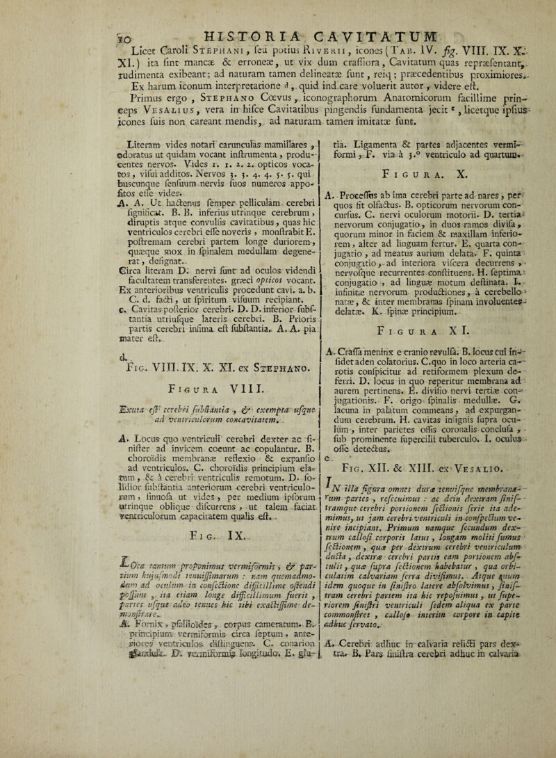 Licet Caroli Stephani, feu potius Riverii , icones(XAB. IV. fig. VIII. IX. XV XI.) ita fint mancx & erroneae, ut vix dum crafiiora, Cavitatum quas repraefentant, rudimenta exibeant ; ad naturam tamen delineatae lunt, reiq ; praecedentibus proximiores. Ex harum iconum interpretatione <i, quid indicare voluerit autor , videre eft. Primus ergo, Stephano Coevusiconographorum Anatomicorum facillime prin¬ ceps VesAlius, vera in hifce Cavitatibus pingendis fundamenta jecite , iicetque iplius icones fuis non careant mendis, ad naturam tamen imitatae funt. Literam vides notari carunculas mamillares , odoratus ut quidam vocant inftrumenta , produ-- centes nervos. Vides i. i. i. i. opticos voca¬ tos, vifui additos. Nervos 3. 3. 4. 4. f. qui buscunque fenfuum nervis fuos numeros appo- fitos eife vides. A. A. Ut. ha&enus femper pelliculam cerebri fignificat. B. B. inferius utrinque cerebrum , diruptis atque convuliis cavitatibus, quas hic ventriculos cerebri eife noveris , monftrahit E. poftremam cerebri partem longe duriorem-, qusque mox in.fpinalem medullam degene¬ rat, deiignat., Circa literam D. nervi funt ad oculos videndi facultatem transferentes, gneci opticos vocant. Ex anterioribus ventriculis procedunt cavi. a. b. C. d. fa&i, ut fpiritum vifuum recipiant, c. Cavitas pofterior cerebri. D. D. inferior fubf- tantia utriufque lateris cerebri. B. Prioris partis cerebri infima, eft fubftantia., A. A. pia. mater efh d>. Eig. VIII. IX. X. XI. ex Stephano. Figura VIII. Exuta ejT cerebri. fubUdntia , & exempta ufiptte ad ventriculorum concavitatem. A. Locus quo ventriculi cerebri dexter ac fi- nifter ad invicem coeunt ac copulantur. B. choroidis membran* reflexio & expaniio ad ventriculos. C. choroidis principium ela¬ tum , & a cerebri: ventriculis remotum. D. fio- lidior fu b dantia anteriorum cerebri ventriculo¬ rum , iinuofa ut vides, per medium iplbrum utrinque oblique difcurrens , ut talem faciat ventriculorum capacitatem qualis eft» - Eig. IX. ■L' Oea tantum proponimus vermiformis, & par¬ tium hujufinodi tenuijjimarum : nam quemadmo¬ dum ad oculum in confeclionc difficillime offendi pcjfiint ,. ita etiam longe difficillimum fuerit , partes ufque-adeb tenues hic tibi exaftiffime de- monfirare„ M- Fornix r piallioides , corpus cameratum. B. principium: vermiformis circa fepturn , ante¬ riores ventriculos, diftinguensc C. conarion R TQ-jni&rw longitudo. E. glti¬ tia. Ligamenta & partes adjacentes vermi- formi, F. via a 3.0 ventriculo ad quartum. Figura. X. A. Proceflus ab ima cerebri parte ad nares, per quos fit olfa&us. B. opticorum nervorum con- curfus. C. nervi oculorum motorii. D. tertia nervorum conjugatio, in duos ramos divifa, quorum minor in faciem & maxillam inferio¬ rem , alter ad linguam fertur. E. quarta con¬ jugatio , ad meatus aurium delata. F. quinta conjugatio >- ad interiora vifcera decurrens » nervofque recurrentes conftituens. H. feptima conjugatio , ad lingu* motum deftinata. L - infinite nervorum, productiones, a cerebello > nat*, & inter membranas fpinam involuentes^ delatte. K, fpinm principium. Figura XI. A. Crafla meninx e cranio revulfa. B. locus cui in~t- fidetaden colatorius. C.quo in loco arteria ca-~ rotis confpicitur ad retiformem plexum de- - ferri. D. locus in quo reperitur membrana ad aurem pertinens. E. divifio nervi terti* con-' jugationis. F. origo- fpinalis. medullae. G. lacuna in palatum commeans, ad expurgan¬ dum cerebrum. H. cavitas inftgnis fupra ocu¬ lum , inter parietes offis coronalis conclufa , fub prominente fiipeixilii tuberculo. I. oculus ofte deteftus. e. Fig. XII. & XIII. ex Vesalio. 7 „ . ‘ ■. N illa figura omnes dura t e nui f que membrana¬ rum partes , refecuimus : ac dein dextram fini fi iram que cerebri portionem fixionis fierie ita ade¬ mimus y ut jam cerebri ventriculi inconfpettum ve¬ nire incipiant. Primum namque fecundum dex¬ trum callofi corporis latus , longam moliti fumus ■ feBionem , qua per deixtrum cerebri ventriculum dufta, dextra cerebri partis eam portionem abfi tulit j qua fupra feflionem habebatur , qua orbi- culatim calvariam ferra divifimus. Atque /pium idem quoque in ftnifiro latere abfolvimus , fi ni fi tram cerebri partem ita hic repofuimus, ut fiupe- riorem finiflri ventriculi fedem aliqua ex parte commonfiret , callo/a interun corpore in capite adhuc fervato„ A. Cerebri adhuc in calvaria relidfi pars dex-i ixa. B. Pars llniftra cerebri adhuc in calvaria.