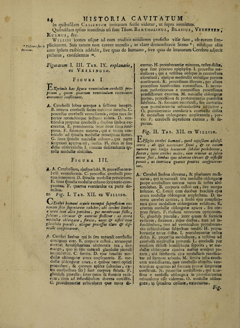 * T)\fcours far It (trvcat*. t4 HISTORIA CAVITATUM in quibufdam Casserium imitatum fuilie videtur, ut fupra innuimus. Quibufdam ipfms iconifmis ufi funt Thotn. Bartholinus , Blasius, VerhiyEic^ Kulmus , &c. Willisi icones ufque ad eum traditis nitidiores profero vifse funt, ob earum fim- plicitatem. Suis tamen non carent mendis , ut clare demonftravit Steno *; nihilque aliis ante ipfum exibitis addidit, live quas de humano, live quas de brutorum Cerebro adjecit pi&uras, confulemus m. Figurarum I. III. Tab. IX. explanatio, ex Vesiingio, Figura I, EXprimit hae figura ventriculum cerebelli pro- I prium , quem quartum ventriculum re cenitor es anatomici confaituunt. A- Cerebelli lobus uterque a fedione integer. B. interna cerebelli facies inciiione deteda. C. proceflus cerebelli vermiformis, cujus pars fu- perior rotundiorque fedione ablata. D. ven¬ triculus proprius cerebelli, duobus linibus ex¬ cavatus. E. prominentia inter duos iinus conf- picua. F. foramen meatus, qui e tertio ven¬ triculo ad fpinalis medulla* principium fertur. G. Iinus fpinalis medulla; calamo, qua parte ; Scriptioni aptatus eit, ikniijs. H. rima in finu dido obfervabilis. 1. truncus defeeadentis ipi- jpalis medulla abfciilus» Figura III. A* A. Cerebellum, ejulquelobi. B. proceflus cere¬ belli vermiformis. C. proceflus cerebelli pon¬ tem innuentes. D. fpinalis medulla; principium. E. iinus fpinalis medulla* calamo feriptorio com¬ paratus. F. quartus ventriculus ex parte de- tedus. m tig. I. Tab. XII. ex Williso. ^jErebri humani cranio exempti fuperfaeiem ex¬ timam fave fuperiorem exhibet; ubi cerebri limbus a nexu cum aliis partibus, per membranas fitdlo , folutus , elevatur & anterius fledlitur : ut crura medulla oblongata f fornix y nates (y tefaes cum glandula pineali, aliique procsjjus clare & dif- t indi e confpiciantur. A- Cerebri limbus qui in fitu naturali cerebello contiguus erat. B. corporis calloli, utrumque cerebri hemifphterium obtinentis ora , live margo, quo in fitu naturali glandul® pineali incumbebat* C. fornix. D. ejus brachia me¬ dulla oblongata crura amplexantia. E. me¬ dulla» oblongat® crura, e quibus nervi optici procedunt, & quorum apices (alterius, ex¬ tra confpedum fiti) funt corpora ftriata. F. glandula pinealis. inter quam & fornicis radi¬ cem , rima ad infundibulum ducens conftftit. Gc protuberantia? orbiculares quae nates di¬ cuntur. H. protuberanti® minores, tefles did®, qu® funt priorum epiphyfes. I. proceflus me¬ dullares , qui a teffibus oblique in cerebelmm afcendunt, ejulque meditullii utriufque partem conflituunt. K. proceifuum iftorum, per alium procellam tranfverliim commiflura. I. nervo¬ rum patheticorum e commiflura procefluum pr®didorum exortus. M. meciull® oblongatae portio, proceffibus & protuberantiis pr®didis fubftrata. N. foramen ventriculi, feu cavitatis, qu® protuberandis orbicularibus fubjicitur , O. protuberantia annularis a cerebello diffita & medullam oblongatam amplexantis, por- tio. P. cerebelli fuperfkies extima , & id- perior. Fig. II. Tab. XII. ex Williso. EvFfigies cerebri humani, quod cujufdam adolef- centis , ab ipfa nativitate fatui , & ex eorum numero qui vulgo lencurum Jubditi perhibemur, fuerat; cujus cerebri moles, cum tenuior ac /olito minor fuit, limbus ejus ulterius elevari & reflefii potuit, ut interiora quavis penitvs confpiceren- tur. A. Cerebri limbus elevatus, & plurimum reclir natus , qui in naturali fitu medull® oblongata prope cerebellum innixus nates & tefles ab£ condebat. B. corporis calloli ora, live margo inferior. C. fornix cum duobus brachiis ejus crura medull® oblongat® ampledens. D. in¬ terna cerebri cavitas, a limbi ejus complica¬ tura circa medullam oblongatam refultans, E. crurum medull® oblongat® apices , feu cor¬ pora ftriata. F. thalami nervorum opticorum. G. glandula pinealis, inter quam & fornicis radicem, foramen, cujus dudus, tum ad in¬ fundibulum, tum ad ventriculum protuberan¬ tiis orbicularibus fubjedum tendit. H. protu¬ beranti® nates did®. I. protuberanti® tefles did®. K. proceflus medullares, a teftibus ad cerebelli meditullia protenfi. L. cerebelli per mediam diiledi hemifphefia fepoiita , ut me- dull® oblongat® caudex melius confpici po¬ terit ; ubi liibftantia ejus medullaris ramifica- tur ad formam arboris. M. ferobs infra caudi¬ cem medullarem, qu® cerebello obteda, ven¬ triculum quartum ad formam penn® icriptori® conflituit. N. proceflus medullares, qui tran- fitus e medulla oblongata in protuberantia? orbiculares efle videntur. O. medull® oblon¬ gata;, io fpiaalem ceffurte, extremitas..