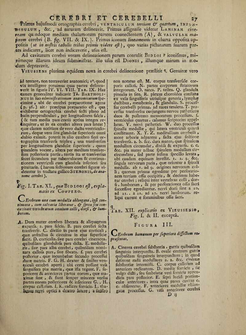 Primus Tiujufmodi ortographiacerebri, ventriculum xenium & quartum , infun¬ dibulum , <5cc. , ad naturam delineavit. Primus aflignafle videtur Laminam cine¬ ream qu-ndoque mediam thalamorum partem conne&entem (A), & valvulam ma¬ corem cerebri (B. fg. VII. & IX.). Primus iconum lineamentis in charta oppofita ap- pofitis (ut in noflris tabulis tribus primis videre ejl), quo varias pidurarum fuarum par¬ tes indicaret, licet non indicaverit, ufus efl. Ad cavitatum cerebri veram delineationem parum contulit Bidloi P iconifmus, mi- nimeque illarum ideam fubminiftrat. illo ufus efl Dionis , illumque mirum in mo¬ dum depravavit. VieussEns plurima equidem nova in cerebri delineatione prseftitit Genuinae vero non notatus efl. M. corpus tranfverfale cor- id tentare, non tentaverint anatomici; 2.0. quod vix intelligere potuimus quas partes delinea¬ verit in figuris IV. VI. VIII. Tab. IX. Has tamen generaliter indicavit Th. Bartholi¬ nus in fuo adminiftrationum anatomicarum {pe- cimine > ubi de cerebri prceparotione agens ( p. $6.) ait: praecipua prsparatio efl:, qua exhibetur ortographia cerebri ledi plano ad bafin perpendiculari, per longitudinem falcis, ( & tum media pars cranii aptius integra re¬ linquitur , ut in ea cerebri altera pars lateat) quas claram notitiam de vero dudu ventriculo¬ rum , deque vere litu glandula liiperioris omni dubio eximit, poterit in alio cerebro fieri or¬ tographia tranfverfa triplex , una tranfverfim per longitudinem glandula fuperioris , quam pinealem vocant, altera per medium tranfver- ium pofterioris partis, tertia ita ut tranfverfim fecet fecundum par tuberculorum & continua¬ tionem ventriculi cum glandula inferiori feu pituitaria. (harum fedionum cerebri figura vi¬ deantur in tradatu gallicoSTENONis,d? ana- tome cerebri ). P Ftg. I. Tab. XI., ^«^Bidlooi efltexpla- natio ex Cowpero. Erebrum una cum medulla oblongata, ipjl con¬ tinuata , cum calvaria liberatur, & fpecu feu con¬ cavitate vertebrarum omnium colli, dorji, & lum¬ borum. A- Dura mater cerebro liberata & aliquaptum expanfa. a. pars falcis. B. pars cerebri feda 1 tranfverfe. C. divifio in parte ejus corticali, I qua anfradus & circuitus in ejus fuperficie facit. D. corticalis, live pars cerebri cineracea, quibufdam glandulola pars dida. E. medulla¬ ris , five pars alba cerebri, quibufdam nomi¬ nata callofa pars., five fibrata, f. pars cerebri pofterio.r > qua incumbebat fecundo procefliii dura matris. F. G. H. dexter & finifter ven¬ triculi cerebri aperti; ubi cerni poliunt vala (anguifera pia matris, qua ifla tegunt. F. fu- poriores & anteriores partes eorum, qua ma¬ xima fiint , & fiunt lemper minores verfus partes eorum pofteriores & inferiores G. . H.. corpus callolum. I. K. radices fornicis. L. tha- fcysus ngjryi optici a dextro latere; a fmiflro poris calloli. N. partes corporum ftriatorum integrorum. O. nates. P. teftes. Q. glandula pinealis in fitu. K. plexus choroides conflans ex vafis fanguiferis utriufque generis, lympha dudibus, membranis, 6c glandulis. S. procef- fus cerebelli primus, ad nares tendens. T. pro* ce (Tus tranfverfus conjungens nervos patheticos duos Sc poflremo memoratum proceflum. (- ventriculus quaitus, calamus feriptorius appel¬ latus. V. nervi pathetici. W> duo proceiTus fpinalis medulla, qui latera ventriculi quarti conflituunt. X. Y. Z. meditullium cerebelli , more arboris ad parens , fada ejus fe&ione tranfverfa. a. b. &c. dura mater, qua fpinalem medullam circumdat, divila & expanfa. c. c. &c. pia mater adhuc fpinalem medullam cir- circundans, fed parte infima fpecillo levata > ubi caudam equinam inveftit. 1. 2. &c. fingula nervorum paria, qua oriuntur a fpinali medulla, ab 1. ad 9. origines nervorum col¬ li ; quorum primus egreditur per perforatio¬ nem tertiam offis occipitis, & decimus habe¬ tur cerebri; reliqui inter vertebras colli , dor- (i, lumborum , & per perforationes offis (acri fucceffive egrediuntur, nervi dorli fiint a 10, ad ii. . a 2.1. ad 27. nervi lumborum, re¬ liqui exeunt e foraminibus offis facri. 3 . Tab. XII. explicatio ex Vieussenio, Fig. I. & II. excepta. Figura III. Erebrum humanum per fuperiora dijjeffum re* prafentat. A. Cinerea cerebri (ubftantia , guttis quibufdam (anguinis interpun&a. B. ovale centrum guttis quibufdam fanguineis interpun&um ; in quod defimmt radii medullares a. a. &c. cinerea: fubftantim intermitti. C. corpus callolum ad anteriora reclinatum. D. media fornicis , hc vulgo diflri, feu fimbriata veri fornicis appen¬ dicis pars pofterior*. E. fepti lucidi portiun¬ cula: anteriores, intra quas parva cavitas c. c- obfervatur. F. anteriores medulla: oblon¬ gatas procefius. G. vaia anteriores cerebri