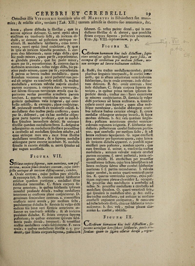 Omnibus illis Vieussenii iconifmis ufus eft Mangetus in Bibliotheca fua anato¬ mica; & relidis aliis, tertium (Tab. XII.) tantum admifitin theatro Tuo anatomico, <Stc. brana , plures diftinda in fibrillas , qua: in nervos opticos delinunt. G. nervi optici ultra coalitum ex tranfverio fedi> ab invicem di- dudi, ac demum ad pofteriora utrinque re¬ clinati. H. medullaris fubftantia , cujus inter¬ ventu, nervi optici fimul coalefcUnt, & quae in ipfis ab invicem fejundis prominet. I. cor¬ pora duo lubrotunda, nates vulgo dida > qua: bic paulo minora, quam par fit, repraefentatur. e. glandula pinealis, quae hic paulo minor, quam par fit, repraefentatur. K. corpora duo in turbinem acuminata, teftes vulgo dida, hic pa- riter paula minora, quam par fit, reprjefentata. f. parvus ac brevis tradus medullaris, quem frenulum vocamus, g. nervi pathetici non pro¬ cul ab origine ex tranfverfo refcifll. h. tradus medullaris , anticam valvula majoris cerebri partem occupans, i. corpora duo , nervorum, aut laltem fibrarum nervearum amula qua fu- periorem verius pr-ocefius ar.nullaris partem tendunt. L. quartus ventriculus apertus, (an¬ guiferis quibufdam vafis irrigatus , qui cere¬ bello refciflo, & exempto, plane confpicitur. M. pedunculi' cerebelli ex tranfverfo refcilfi. k» medullares duo tradus paulo cralfiores , quam par fit, delineati, qui ex hac medulla oblon¬ gata parte fuperna prodeunt y qua in medul¬ lam fpinalem immediate definit, iis utrinque fibrilla quadam medullares litera L. defignata adjunguntur, m. medullares fibrilla e proceffibus a cerebello ad medullam fpinalem edudayad quas utrinque mox una , mox bina fibrilla medullares tenuilfima, Sc e fuperna medulla oblongata parte exorta accedunt. N. medulla finalis in exortu abfcifla. nu nervi-fpinales ad par vagum acceflorin Figuka VII. SfTriata corpora fuperna, tum anteriora, tum pof reriora, necnon fernir circular e centrum , cujus inter¬ jeci u utrinque ab invicem diftingunntur, exhibet. A. Ovale centrum > cujus poftioa pars abfcifia, & exempta fuit. B. cinerea cerebri fubftantia refidua quadam portiones , medullari illius fubftantia intermifta. C. ftriata corpora fu¬ perna anteriora > in quibus fubftantia ipforum nonnihil profunde derafa, tradus medullares interiores ac cralfiores plane confpiciuntur. D. genuinum femirculare centrum, a. commiftura cralfioris nervi amula , per medium feda , paululumque diduda'. b. fornicis fic vulgo didi radices feu bina, veri fornicis anteriores co¬ lumna ex tranfverfo refirifla > & ab invicem paululum diduda. E. ftriata corpora fuperna pofteriora, in quibus exteriore ipforum fubf¬ tantia paulo derala, innumeri » & tenuiffimi tradus medullares oculis lubjiciuntur. F. nates erala > e quibus medullares fibrilla c. c. pro¬ deunt ,.qyia ftriata corp.ora fuperna,, pofteriora fubeunt. G. teftes pariter derafi , qui in me¬ dullares fibrillas d. d. abeunt, qua pradida ftriata corpora fuperna , pofteriora penetrant. ViD.fig. VIII. explicationem, p. 46. Figura X. C^sErebrum humanum hinc inde diduCfum, fupe* riore utriuf tue ipfius hemifphcerii parteJeCia, at exempta & cerebellum per medium feClum, nec¬ non utrimque ad latera reclinatum exhibet. A. Radii, feu tradus medullares cerebri» gutti* pluribus fanguinis interpundi, & cortici incer- mifti, qui in albam anteriorum ventriculorum fubftantiam, ieu in ovale centrum»inde diduc¬ tum delinunt* B. &c. ovale centrum > hinc inde didudum. C. ftriata corpora fuperna an¬ teriora , in quibus prima tantum ipforum lii- perficie derala, tradus medullares exteriore* ac minores confpiciuntur. D. fornicis fic vulgo didi portiones ad latera reclinata:, a. femicir- cularis centri pars fuperior , quam alba: mol- lifque membrana:, medulla: oblongatae cruri¬ bus inftrata: limbus exterior obtegit. E. crura medullae oblongata utrinque inverfa, & fupra modum diftenta. b. &c. vafa quadam fangui- fera , pofticam anteriorum- cerebri ventricu- culorum- regionem irrigantia. F. fubftantia me¬ dullaris , pofteriorum cerebri limborum portio* nes, qua cerebello per medium fedo , & ad' latera reclinato fuperjacent. G. aqua emiftarii pars anterior per luperiora aperta, cujus latera- ab invicem diduda apparent, c. pradidi aqua' emiftarii pars pofterior, nondum aperta , qua cum frenulum d. unitur, e. tranfverfus tradus medullaris , anticam valvula majoris cerebri partem occupans, f. nervi pathetici, juxta ori¬ ginem abfciffi. H. cerebellum per proceffus vermiformes fedum, cujus bina hemifpharia ad latera reclinata fubtus alba cerebri fubftantia portiones f. f. partim reconduntur. I. valvula major cerebri, in antica quarti ventriculi parte fita. K. quartus ventriculus apertus, cnjus pof¬ ticam regionem plexus chorofdes L. occupat.- M. proceflus dua medullares a cerebello ad teftes. N. proceflus medullares a cerebella ad medullam fpinalem. O. quarti ventriculi finis,; qui fpinalem in medullam abit. g. &c. radii , feu tradus medullares, qui anticam ac mediam* cerebelli regionem occupantes, & ramorum adinftar-arbarts divifi, cineres lubftantice inter- milcentur. h. &c. vafa , quibus plexus eho* roides-L. conflat, abfcilfa. Figura* IX.' K^ Erebrum humanum hinc inde diflraClum y fit* perior e uiriufque hemifpftderi fubftantia, paulo pro- fundim ■ quam- in figar4- oUava- derafa , rcjtm*-
