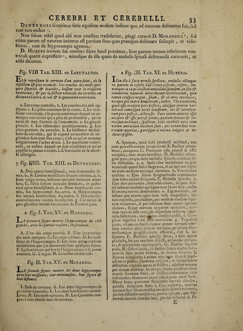 Divernoii iconifmus fatis equidem modum indicat quo ad naturam delineatus fuit, fed tem non exibet y. Non folum nihil quod alii non exadlius tradiderint, pingi curavit D. Morandus z, fed etiam parum ad naturam imitatus eft partium litus quas praecipue delineare fufcepit , ut vide¬ bimus , cum de hippocampis agemus. D. Huberi iconem hic omnino filere haud potuimus, licet partem tantum inferiorem ven¬ triculi quarti exprelferita, minufque de illa quam de medulla fpinali delineanda curaverit, ut alibi dicemus. Fig. Vllf Tab. XIII. ex Lieutaudo* Eue reprefente le cerveau d’un autrefujet, oiila dijjeffion efl plus avancee. Les couches des nerfs opti- ques feparees & ecartees, laijjent voir le troifieme ‘ventricule ; (y par lafeClion verticale du cervelet, on decouvre 1’arbre de vie & le quatrieme ventricule. a. Les corps canneles. b. Les couches des nefs op¬ tiques. c. Le pilier anterieur de la voute. d. Le troi¬ fieme ventricule, a la partie anterieure duquel on re- marque une cavite qui a plus de profondeur , qu’on avoit dit 4tre 1’entree de 1’entormoir. e. La glande pineale, f. Les tubercules quadrijumeaux. g. Les deux portions du cervelet. h. La liibftance medul- laire du cervelet, qui fe rcpand en maniere de ve- getation dans tout fon corps ; c’eft ce qu’on nomme vulgairement Varbre devie, i. Le quatrieme ventri¬ cule , au rnilieu duquel on doit confiderer ce qu’on appelle la plume a ecrire. LLVxtremite de la moel- le allongee. y Fig. JJ11I. Tab. XIII. cxDuvernoio* A. Duo apices hxmifphxrii, cum intermedio fi- nu a. b.. B. Limbus medullaris linuum ambiens, a. b. linus vulgo notus, helicem auriculas humana: xmu- lans. C. Sinus lobum auriculas limulans, in pofte- riori apice hemifphxrii. d. e. Sinus bombycini ver¬ mis, feu hippocampi Araktii. e. Hippocampus feu vermis bombycinus Araktii. f. Spirales cir¬ cumvolutiones vermis bombycini. Curvatura & pars glacilior vermis bombycini, h. tomicis pars. z Fig. I. Tab. XV. ex Morando. T iA prenderefigure montre Ihippocampus du cote gauche , avec les parties voijir.es, en f.tuation. A. L’un des corps candes. B. Une des couches des nerfs optiques. C. Le corps calleux. D. La naift- fance de fhippocampiis. E. Les deux petit* cordons medullaires que j’ai decouvert dans quelques fujets. F. La bandelette qui borde 1’hippocampus a fa partie concave. G. L’ergot. H. Lacavite anchiroide. Fis. II. Tab. XV. ex Morando. T i A feconde figure montre les deux hippocampus avec leur naiffance, leur terminafon , leur figure & leur dijlance. I. Bafe du cerveau. K. Les deux hippocampus de grandeur naturelle. L. Les deux bandelettes medul¬ laires. M. Les nerfs optiques. N. Les Carotides cou- p«ies d leur entree dans le cerveau. a Fig. III. Tab. XI. ex Hubero* Icon illa a facie Averfa [pedata, medullae oblttnga- tx partem 2» infnta ba(i cranii pofnam , refert, om¬ nem que ix ea prududam medullam fpinalem, in (itu (y connexione naturali intra thecam vertebrarum, qtue tamen confpici nequit, fitam , & ab omni involucro , excepta pia matre den^tdatam , exibet. Ubi notandum, quod offis occipitis pars poftica, adufque arteria ver¬ tebralis comitifque nervi tranfitum, uti & vertebra- rwmpars pofhca , ablata fit. Pars autem anterior ojjis occipitis & offis petrofi portio, paulum elevata & re- trorfum inclinata , [pectetur. Lobi cerebelli vero cum verme antrorfum inclinati fune, quo commodius ven¬ triculus quartus, partefque ei vianx conjpici ac in¬ dicari pojfint, A. Spatium, quod lobi cerebelli reclinati, una cum procellit eorum vermi-formi B. Ruditer adum¬ brato, occupant. C. Bortiones offis petrofi & offis occipitis , dura matre inveftitx. D. Medulis oblon¬ gata pars, ex qua dein medulla {pinalis continua fe- rie defcendit. a. a. Strix albas medullares ex ipfo ventriculi quarti fulco Turgentes, & ad nervum lepti- mi paris mollem utrinque abeuntes, b. Ventriculus quartus, c. Ejus fulcus longitudinalis continuatus cum rima calami Icriptorii. E. Medulla fpinalis. d. Ejus dux eminentia:, fere orbiculares, in quos defi¬ nit infimus medullae apcx,qux totx lxves funt, nulla filamenta nervea demittentes, e. Ligamentum , ex infimo pix matris apice cum vafis {anguiferis, hic non exprelfis, produdum, per mediam caudam equi¬ nam excurrens, & per infimum durx matris apicem elabens, ficque nervum imparem mentiens, tan¬ dem vero in olle coccygis dilperfum delinens ; aci- culis fuftentum, quo carius confpici polfit. 1. Gan¬ glion vigefimi rtoni jSnris nervorum, g. Trigefimi paris, ex quo in finiftro latere prxter nervum ejufi- dem numeri alius infuper nervulus, propriam intu- mefcentiam gangliformem efficiens, exit h. in- fignitus. F. Medullx fpinalis theca, a dura matre produda, hic per medium difcifla, utrimque reclina¬ ta ,& acicularum ope expaiita. G. Nervus feptimi paris. FI. Odavi paris, in linifero latere duplex fora¬ men in dura matre habens, id dextro fimplex. I. Nervus acceflcrius a prima ejus irue- fexti & fepti¬ mi nervi poftica filamenta origine , in dextro latere diftindius exprefia quam in fimftro , adufque exitum per duram matrem. In dextro latere peculiare durx matris foramen fubit, in finiftro communem cum inferioribus filamentis nervi edavi paris viam facit. Nervi hujus portiones filamentis nerveis cbtcdx, pundis indigitatx lunt. i. Ejus radiculx, quaru m qua tuor funt fiiamentolx,e medulla fpinali exeunie-, partim diftinde confpicux, partim quoque, qua fila¬ mentis nerveis obtedx funt, pundis indicatx. k, r 1-